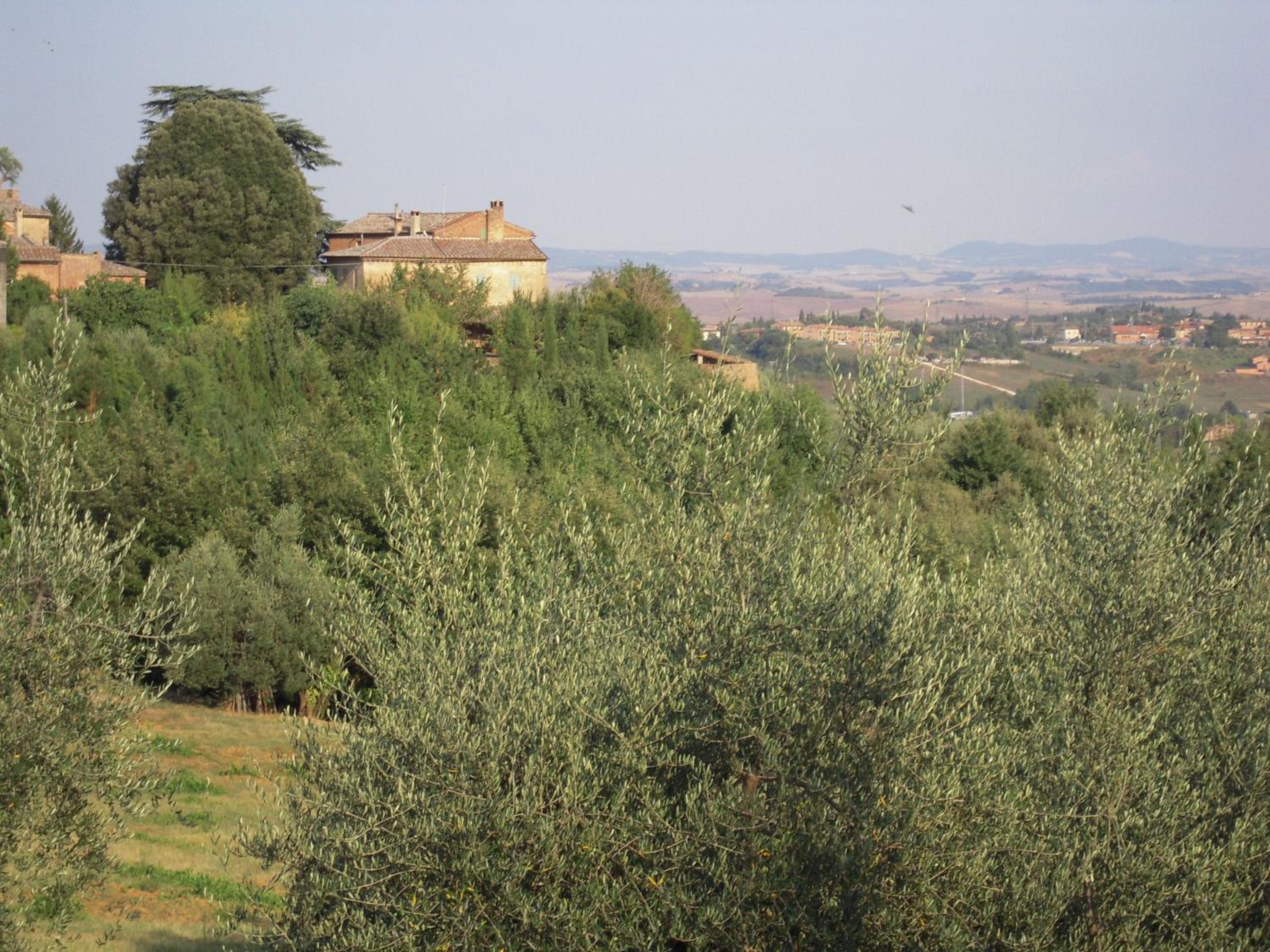 Photo 31