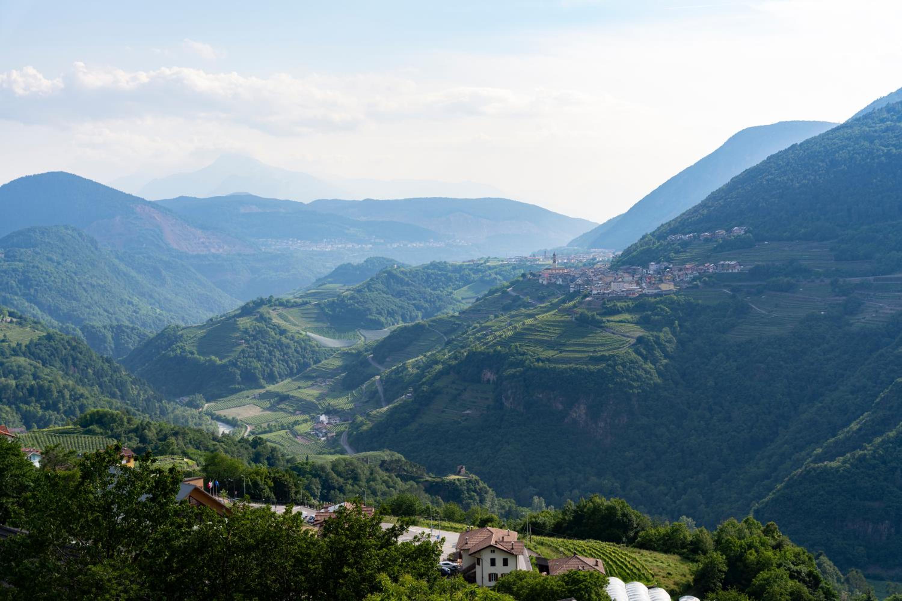 B&B Al Lupo Solitario view 2