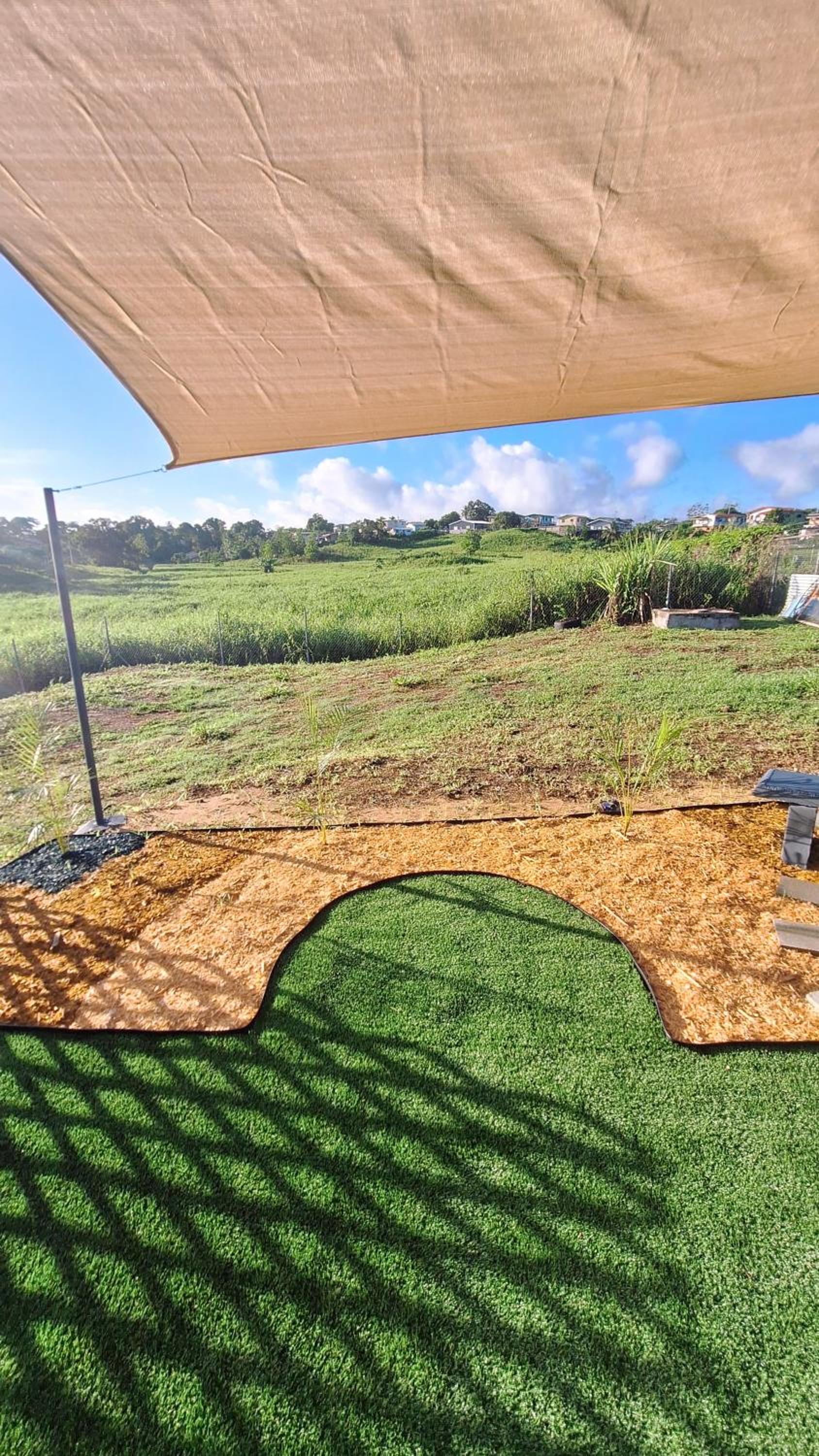 Anthony's Serenity Oasis view 4