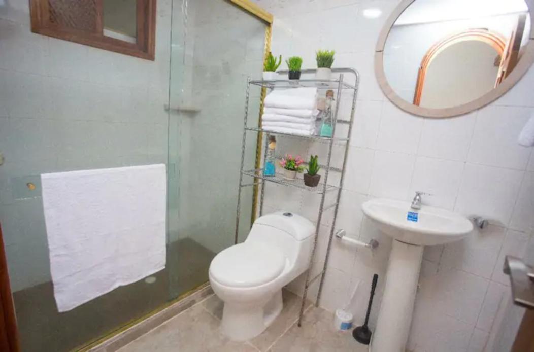 Albore Hostel Pereira