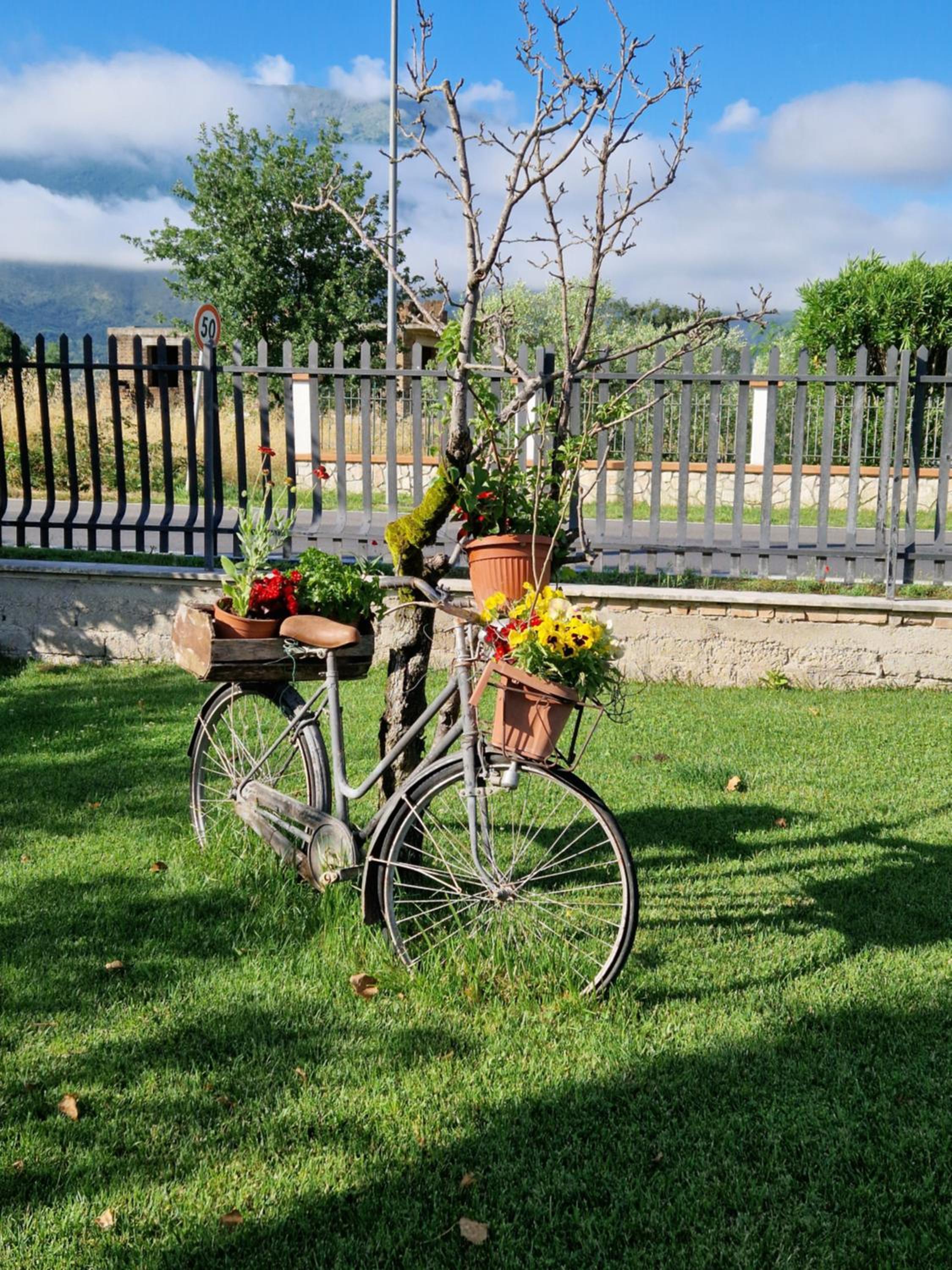 Relax in campagna - Aquino view 4
