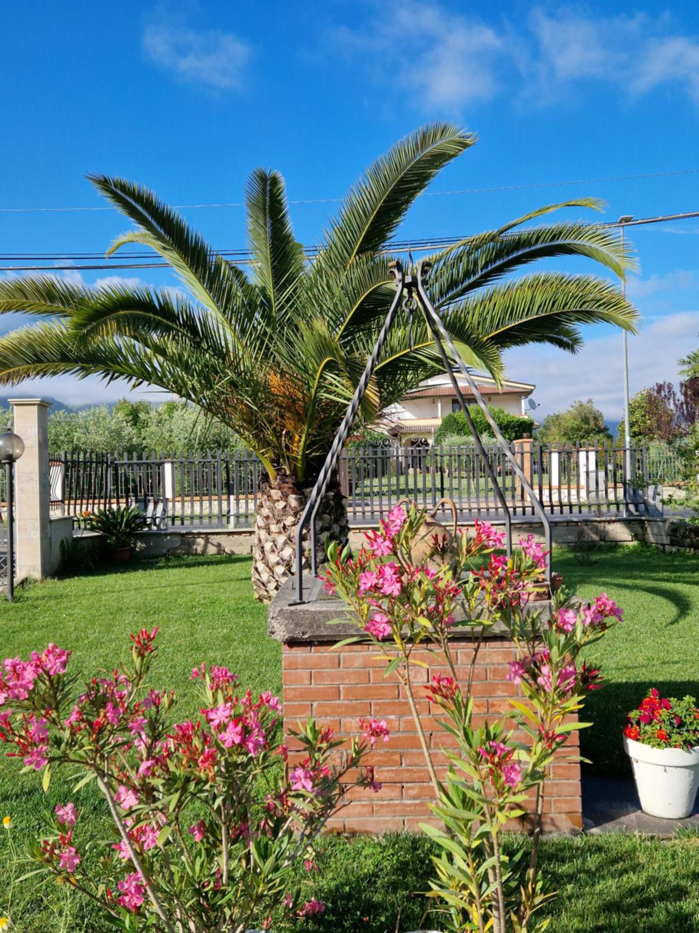 Relax in campagna - Aquino view 3