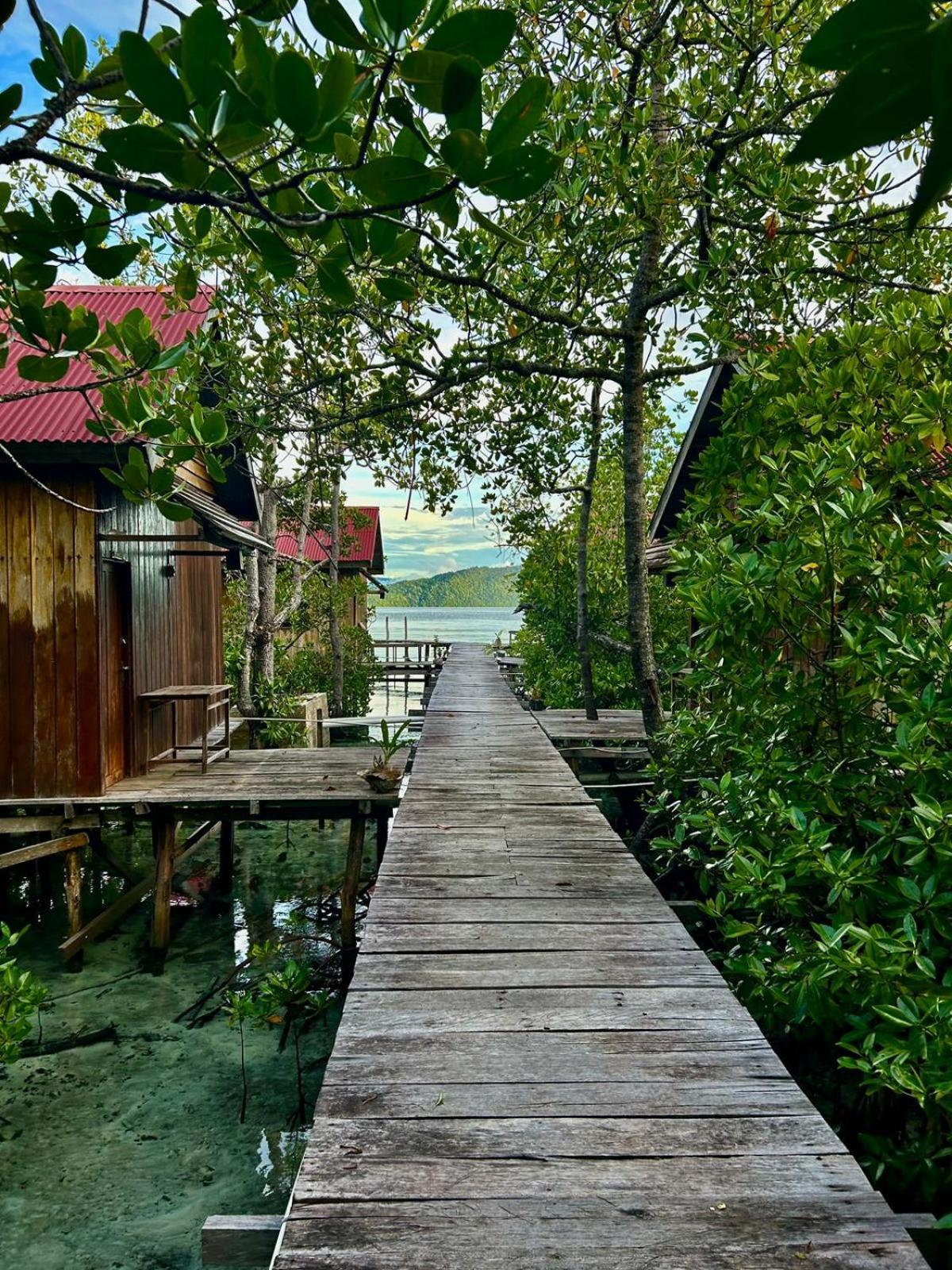 Raja Ampat Blue Sea