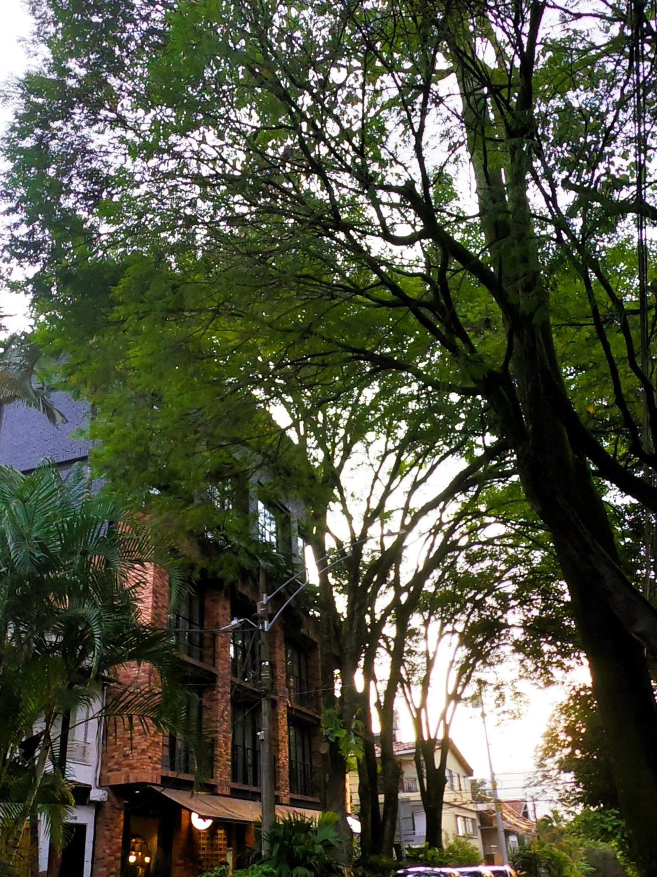 Azulejo - Guest House
