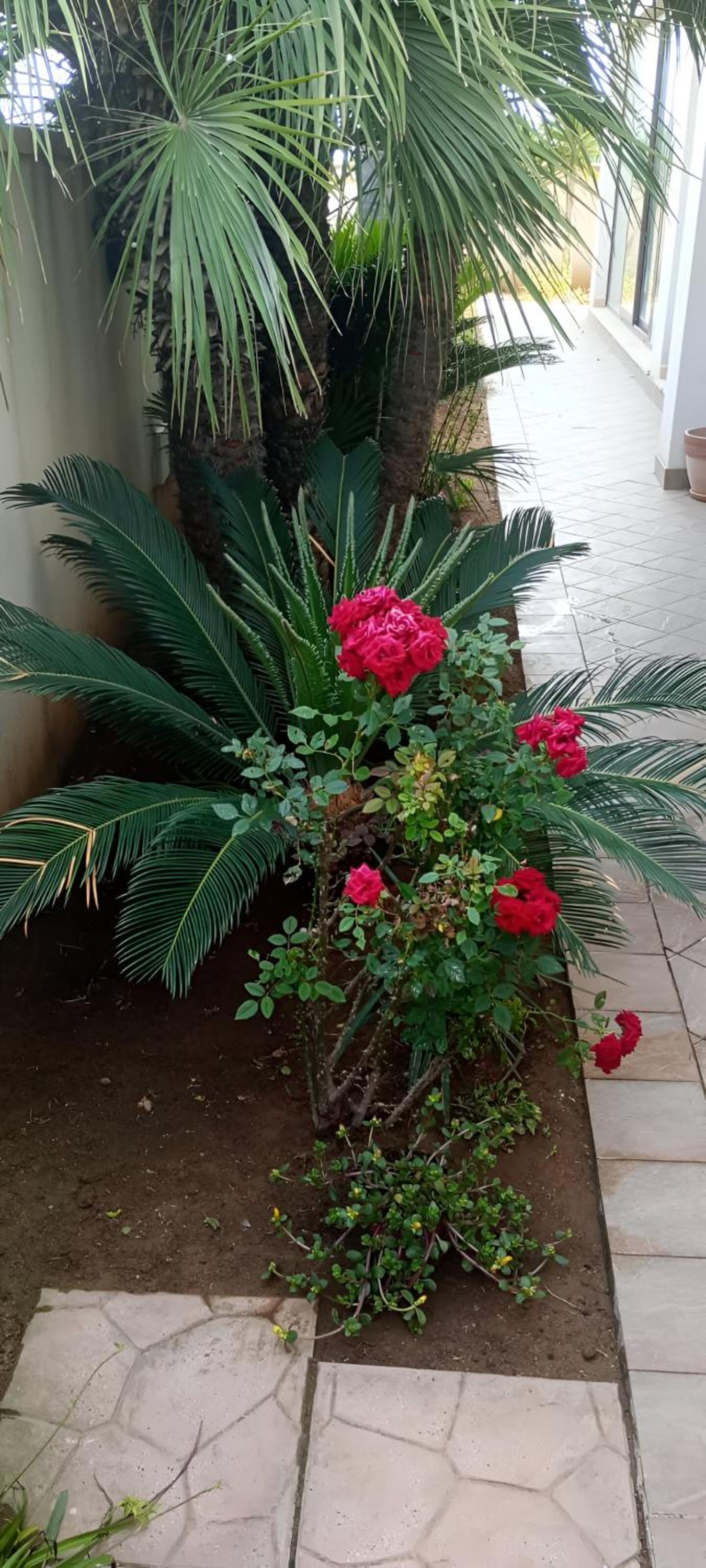 Viki House Mazara view 3