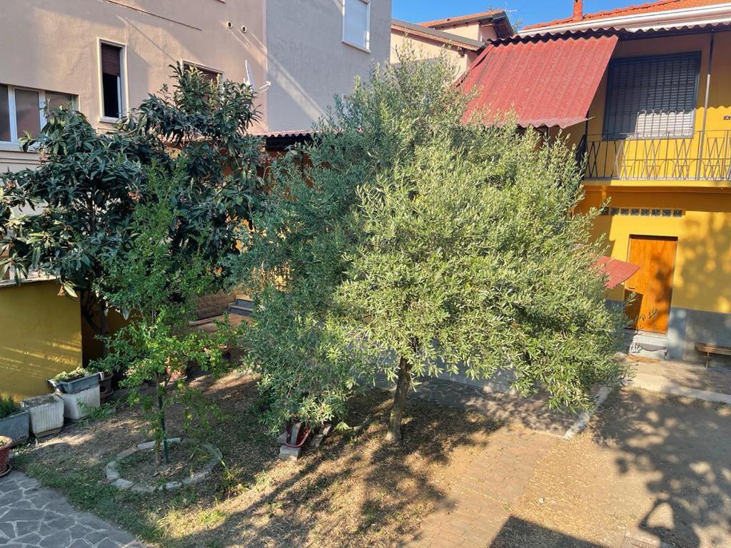 Appartamento da 75 mq in villa view 5