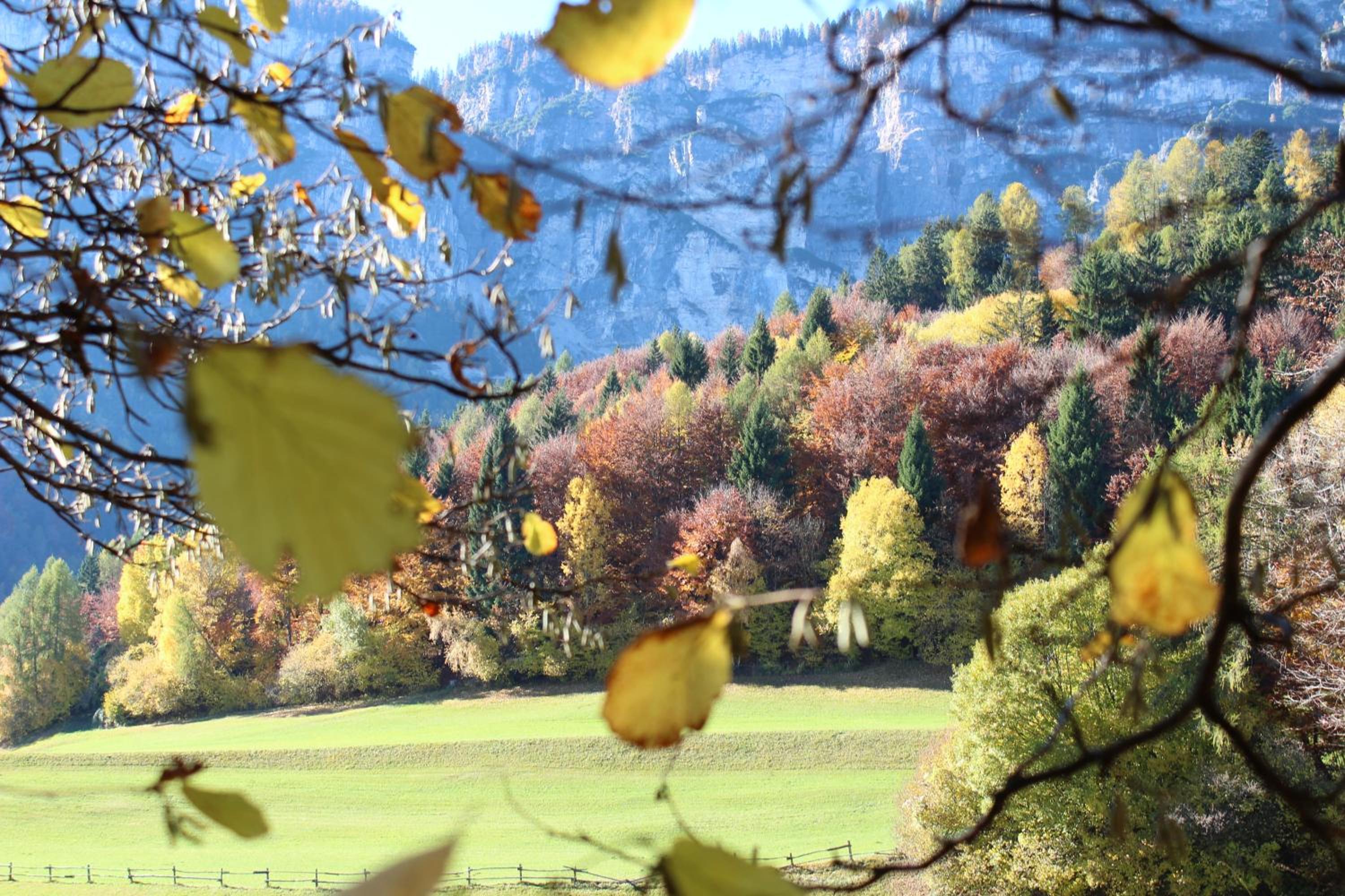 Tinnerhof