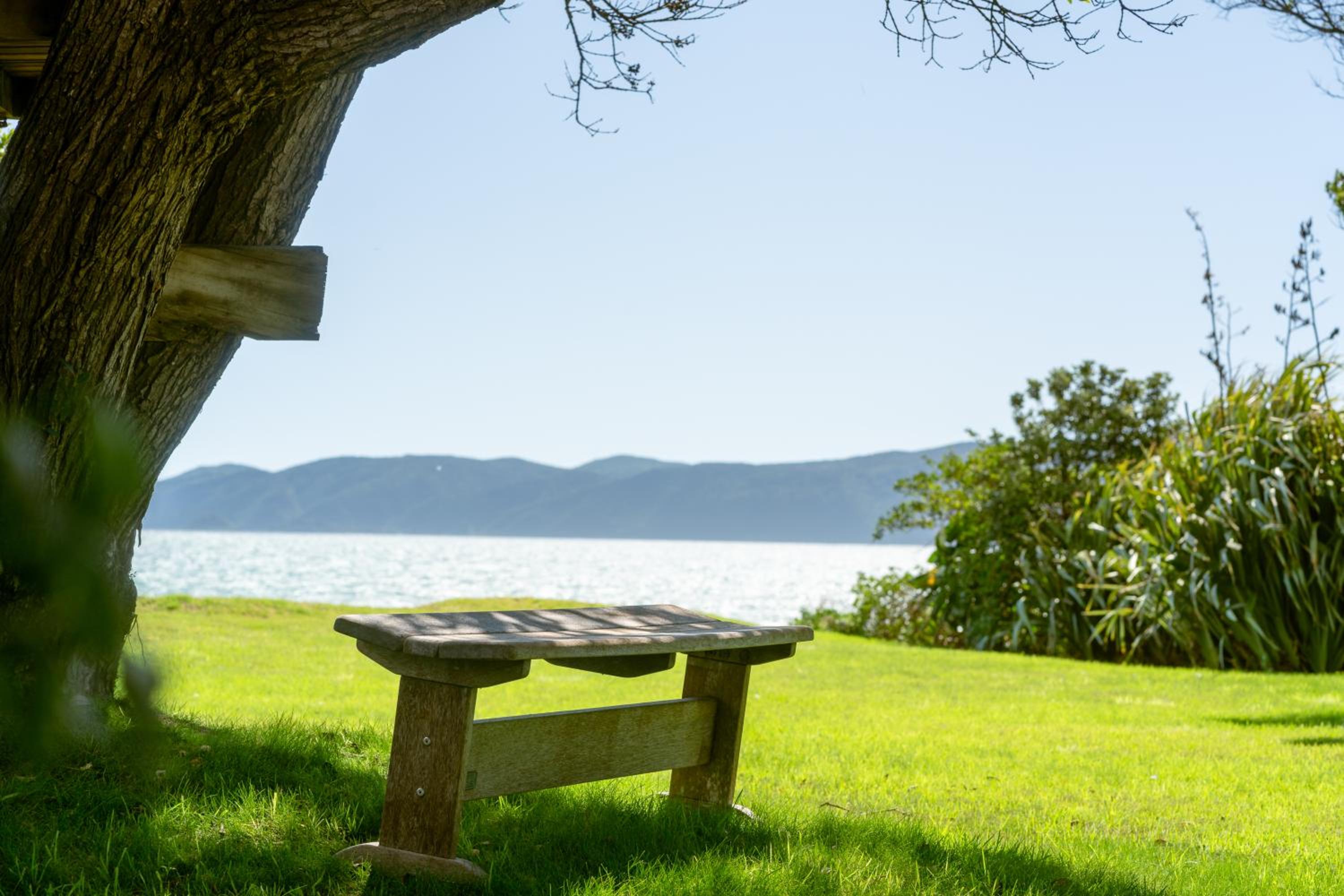 Luxurious Kiwiana Raumati Beachfront Home