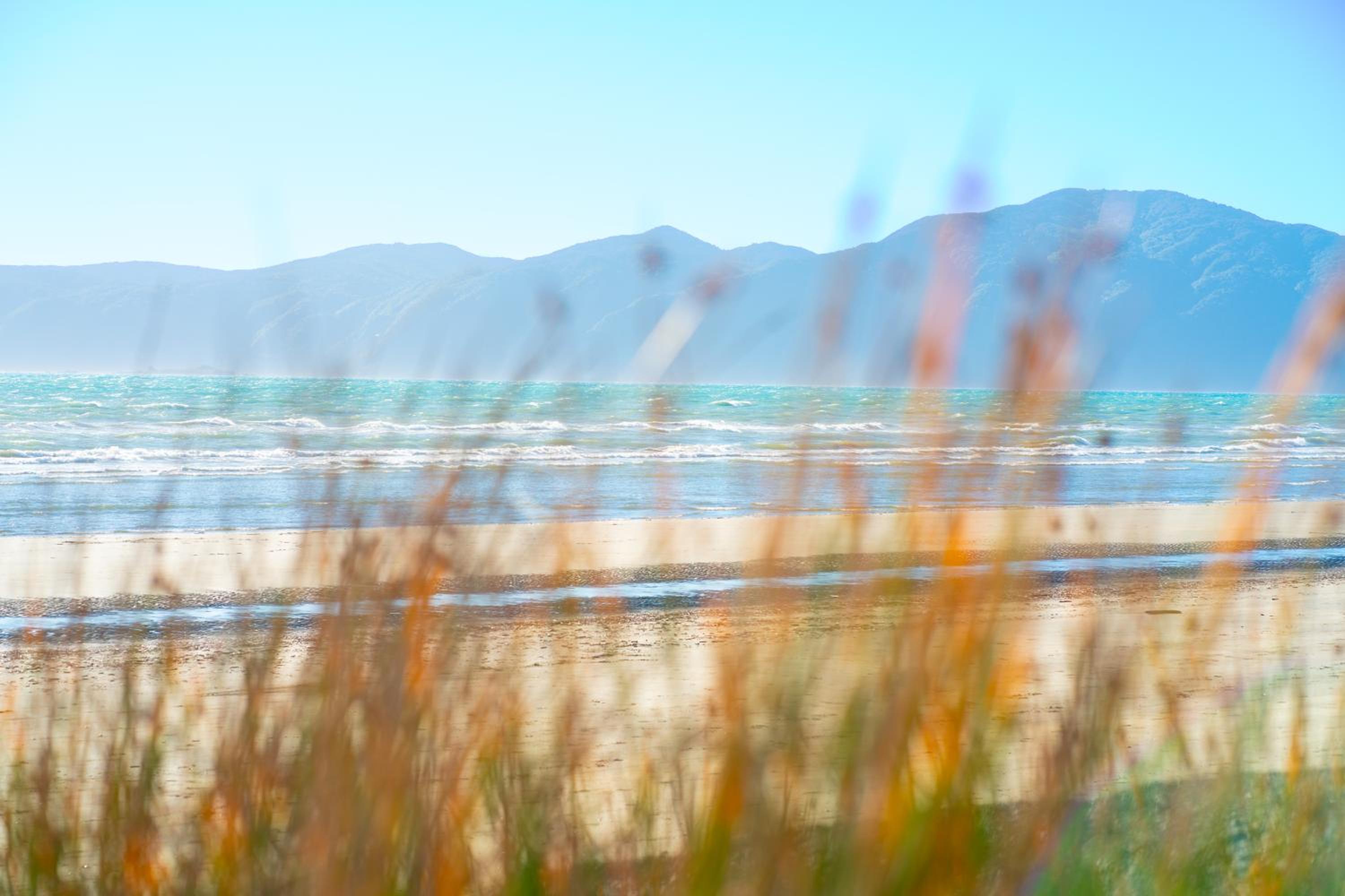 Luxurious Kiwiana Raumati Beachfront Home