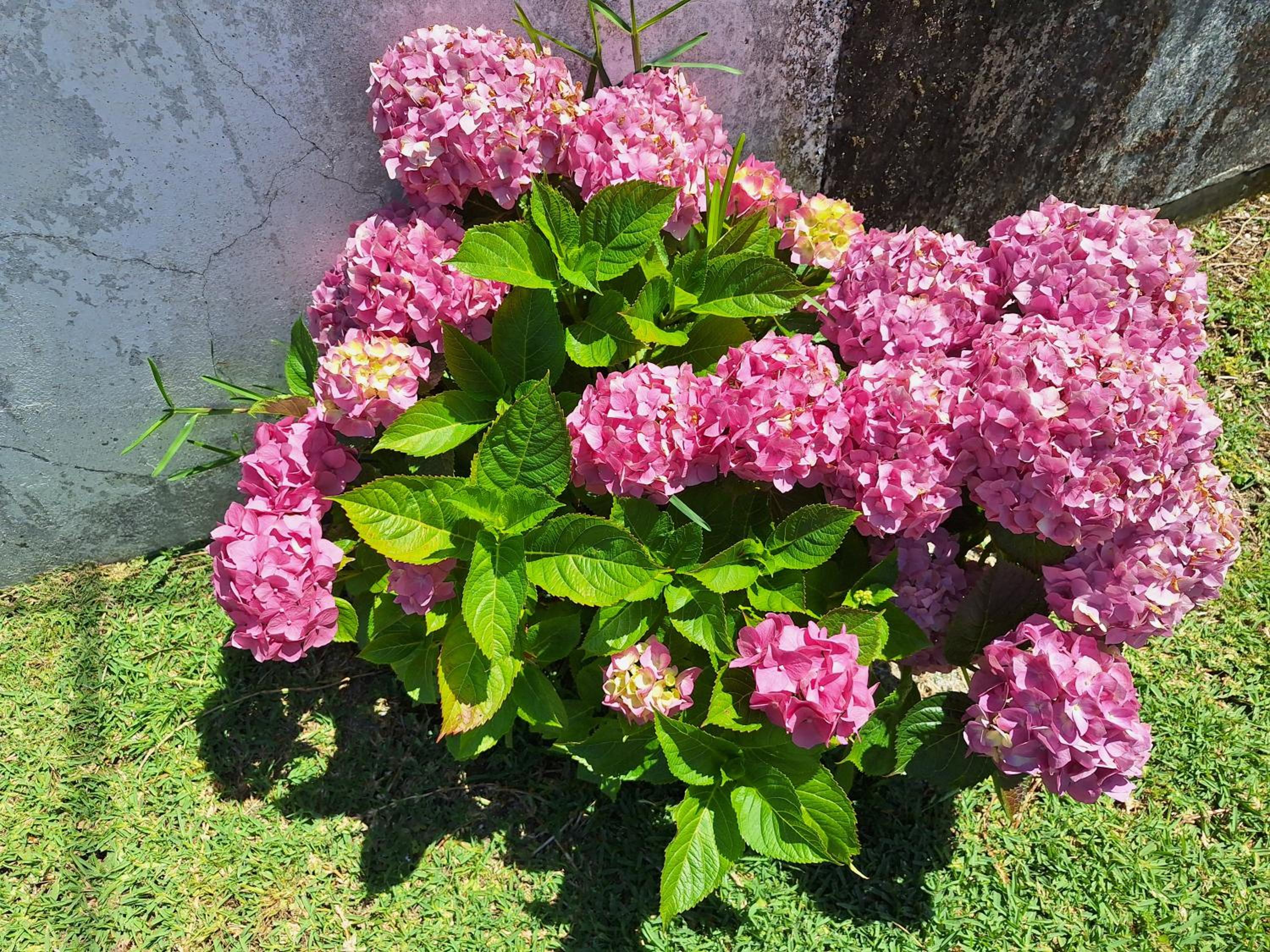 Photo 26