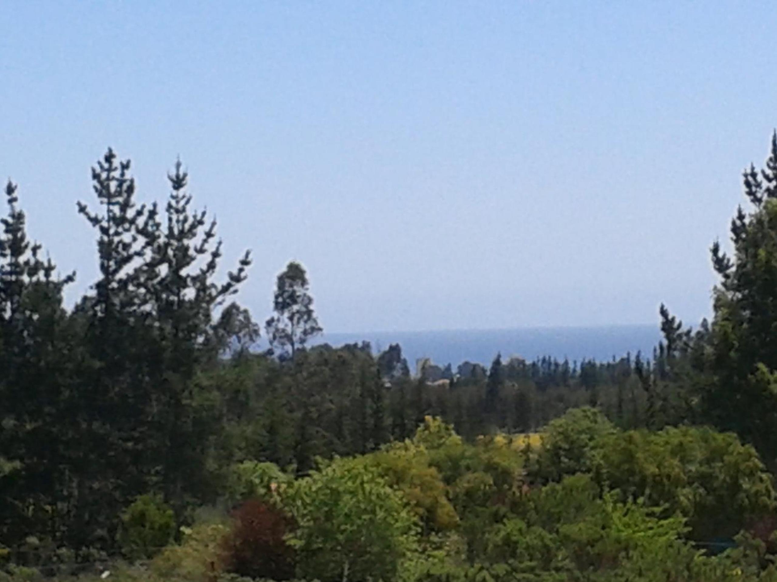 La Querencia de Algarrobo