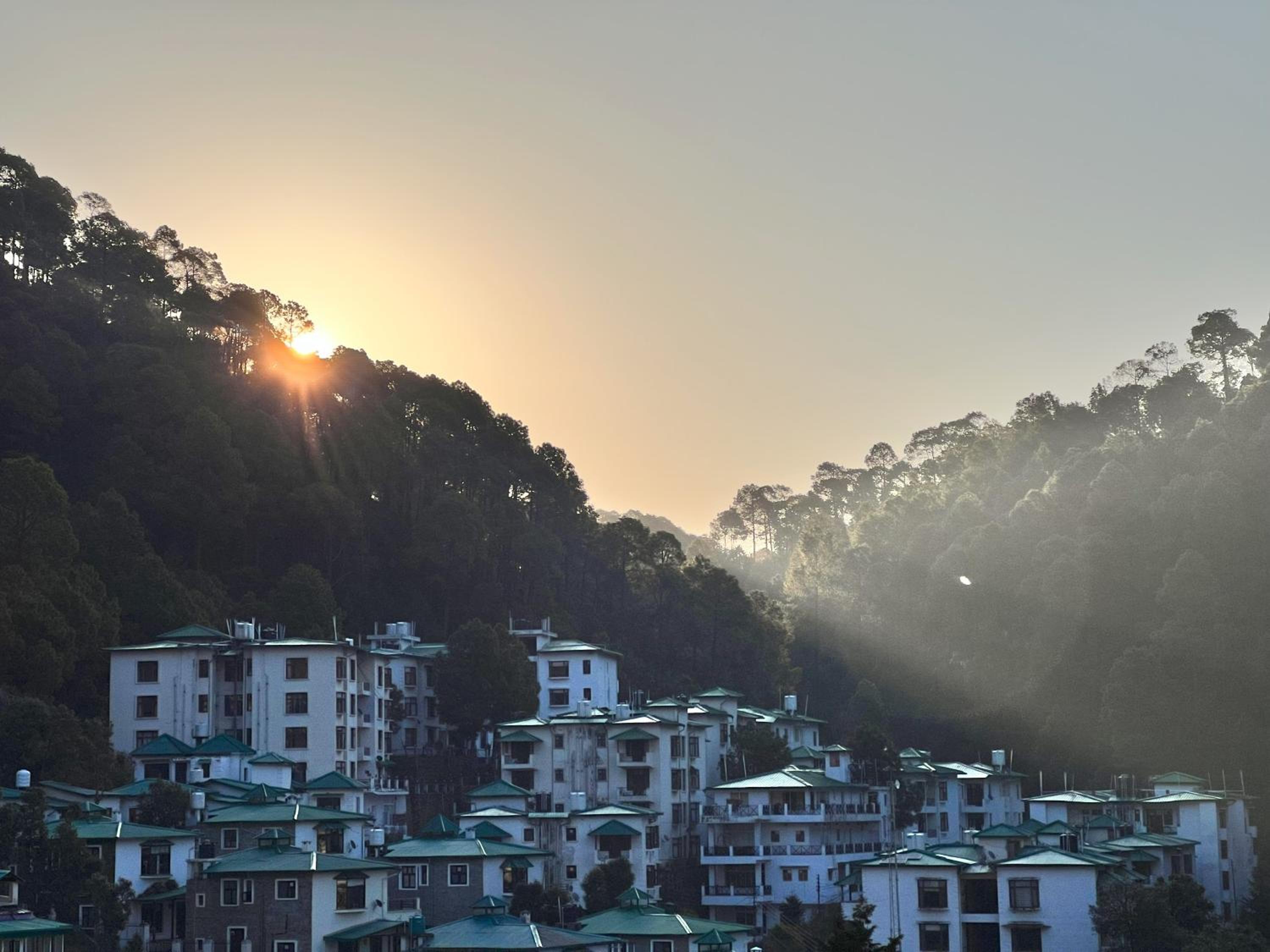 Shyamkhet Tea Valley Homestay