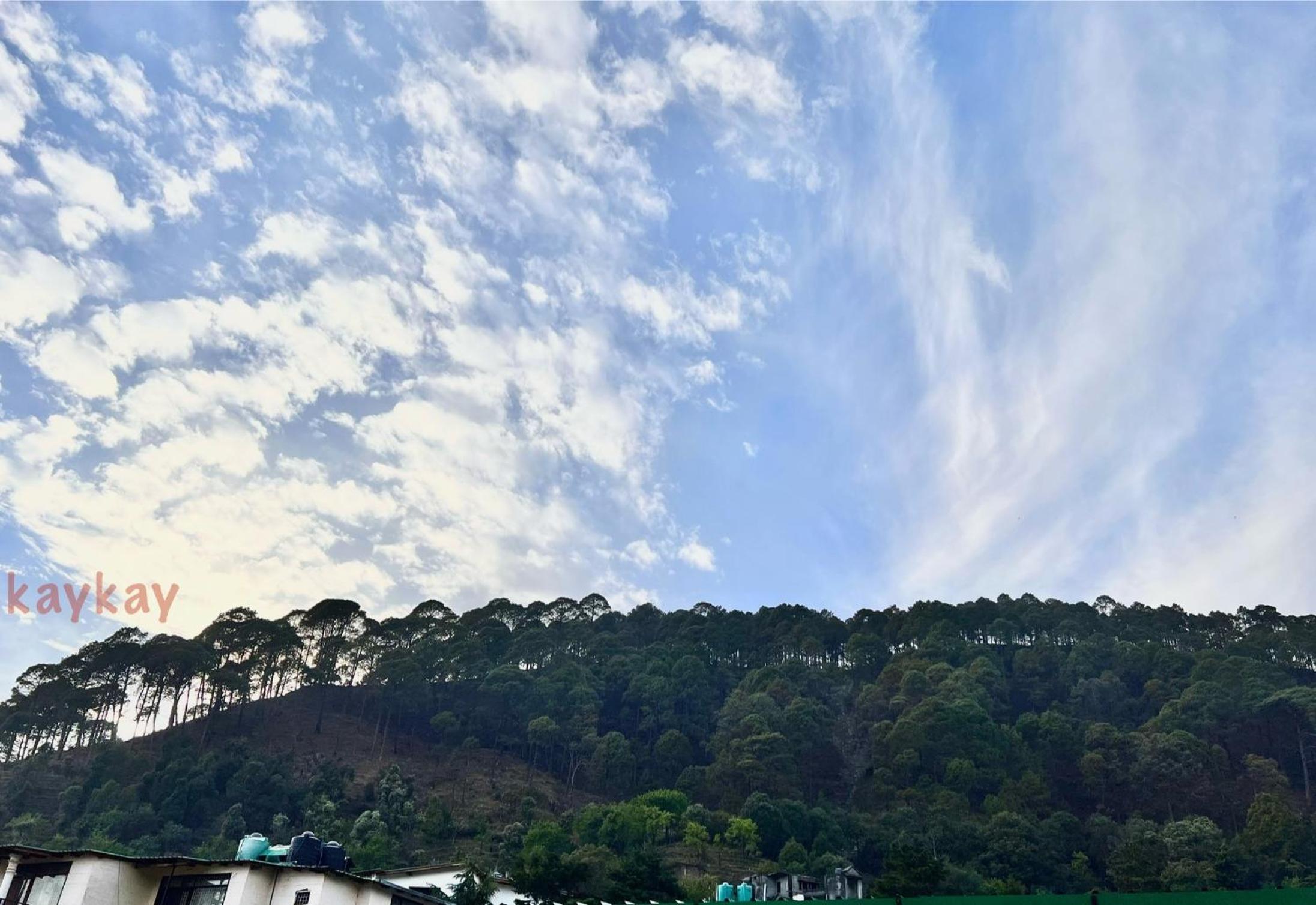 Shyamkhet Tea Valley Homestay