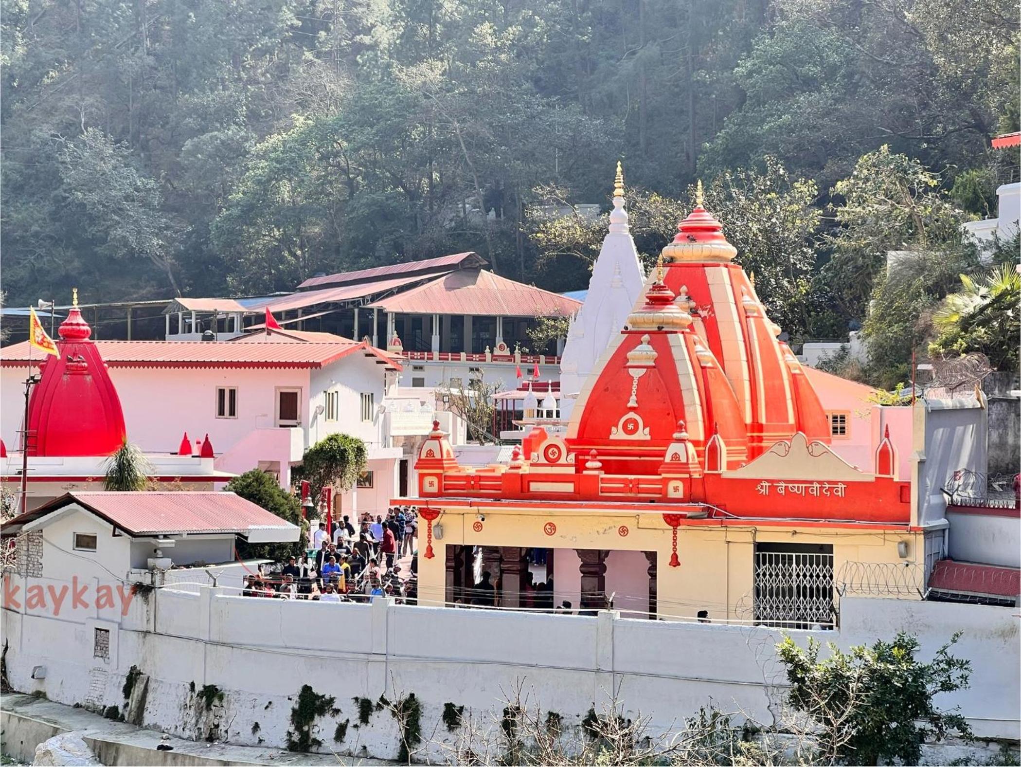 Shyamkhet Tea Valley Homestay