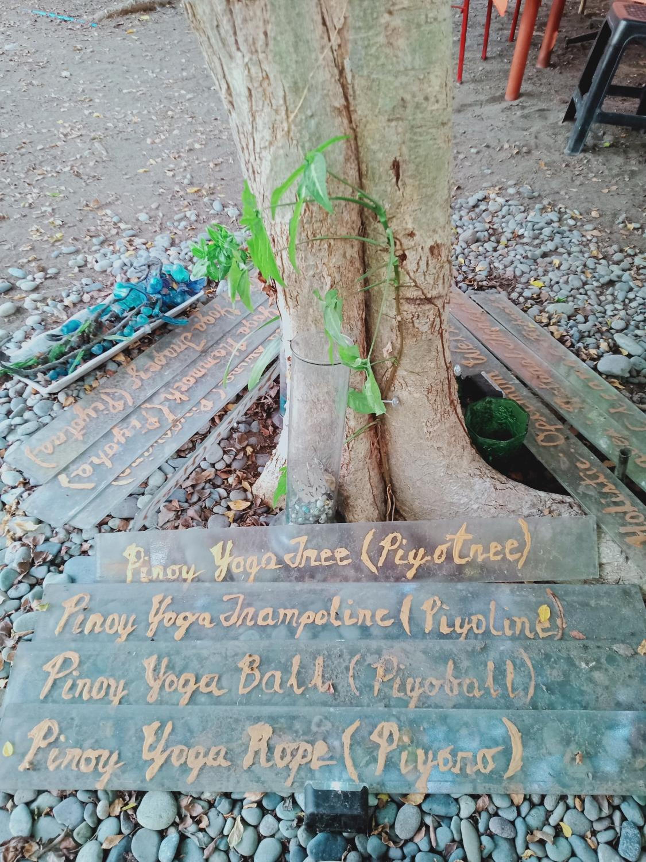 JUNGLE AERIAL ARTS NAMASTE LA UNION Chi fan kubo 2pax