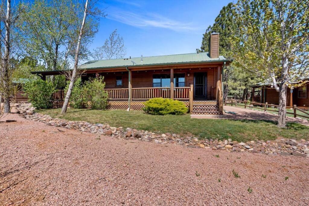 Cabin with Wild Horses, Fireplace, Dog Friendly & StarLink view 5
