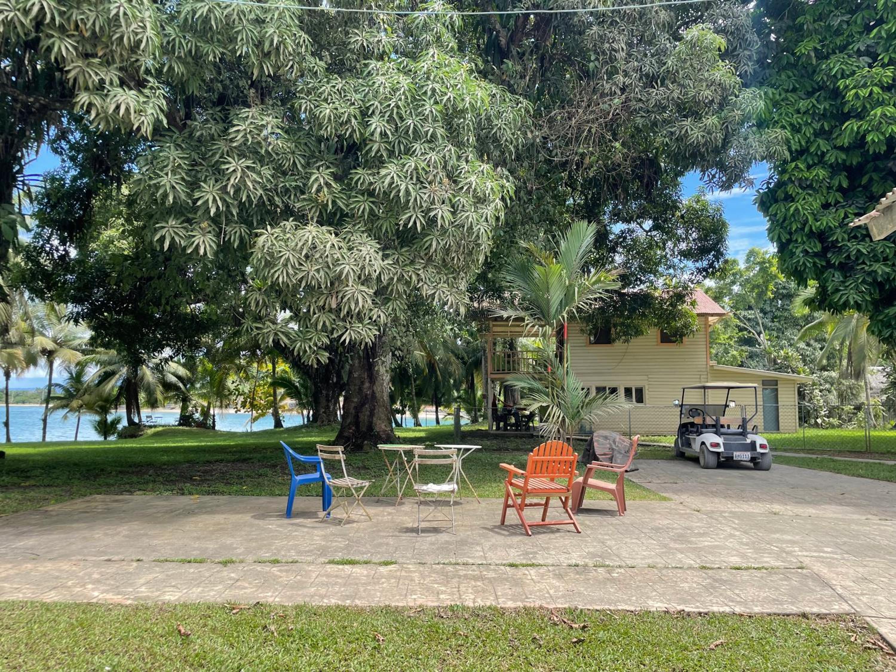Photo 18