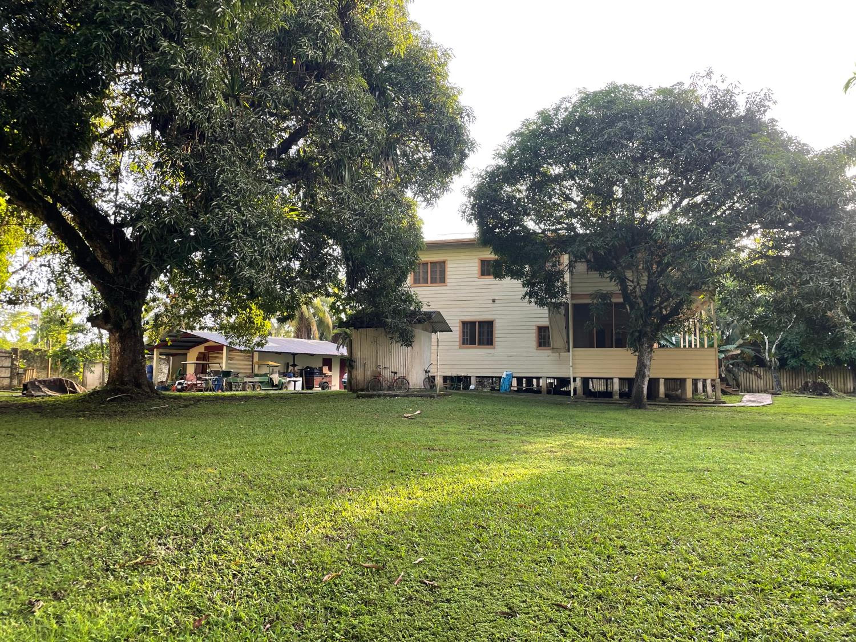 Photo 19