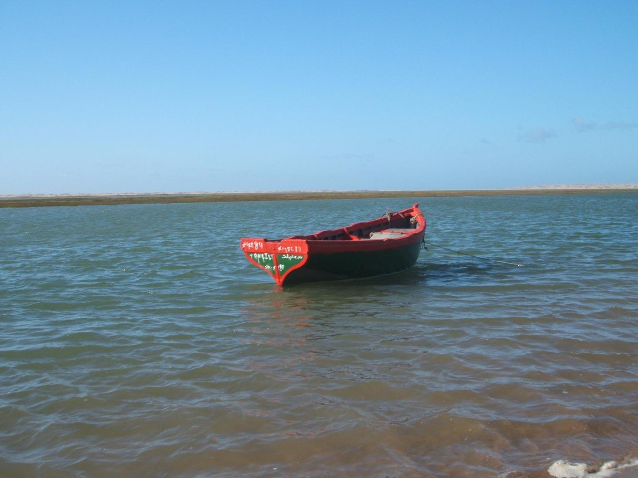 Photo 40
