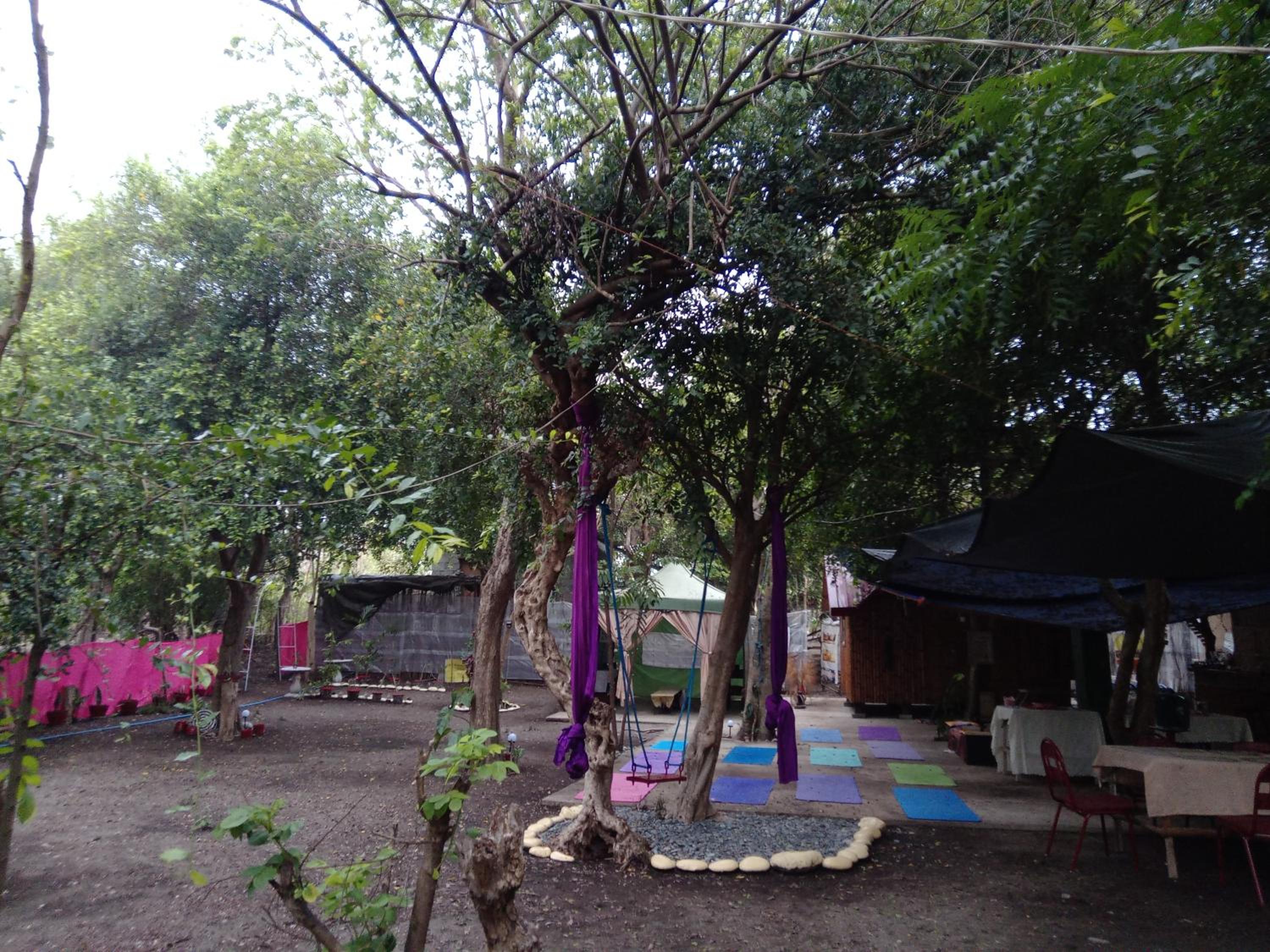 JUNGLE AERIAL ARTS NAMASTE LA UNION Chi fan kubo 2pax, photo 33