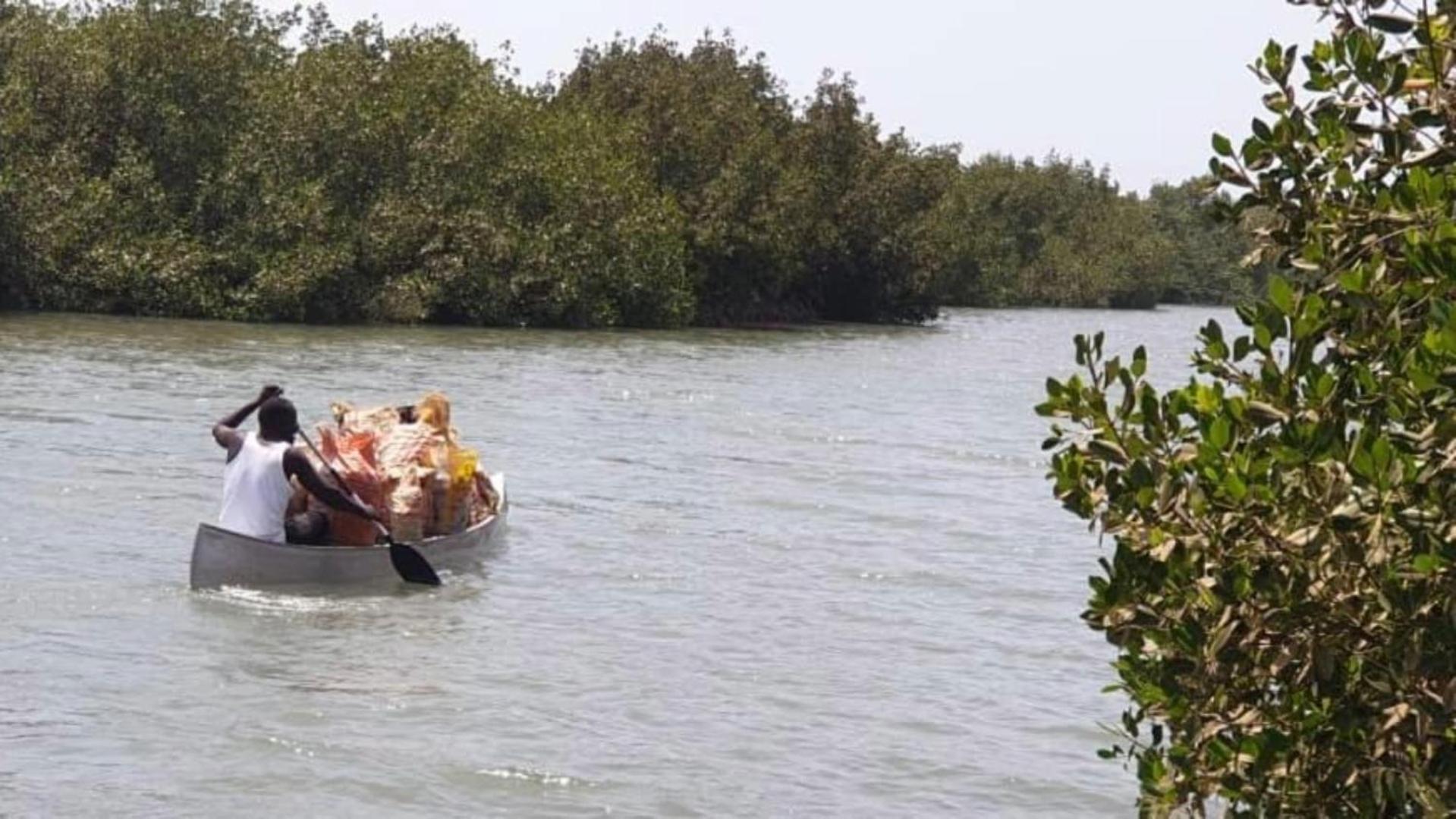 MANGROVE BEACH