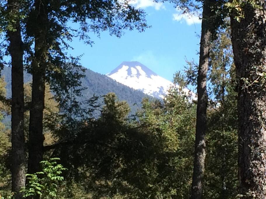 Cabaña campo Pucon