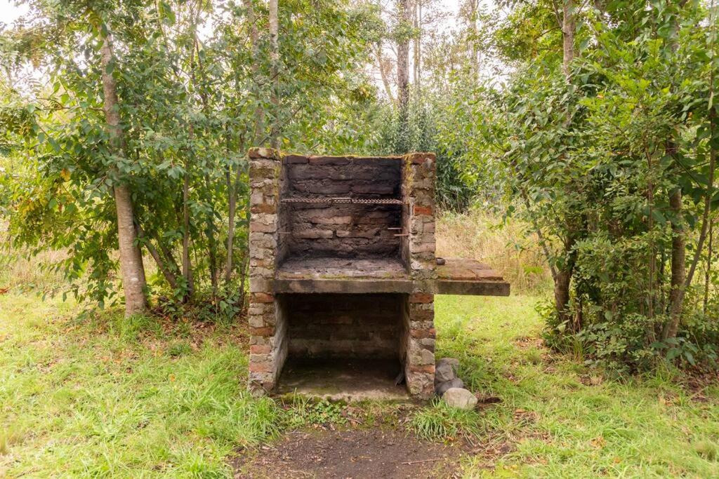 Cabaña campo Pucon