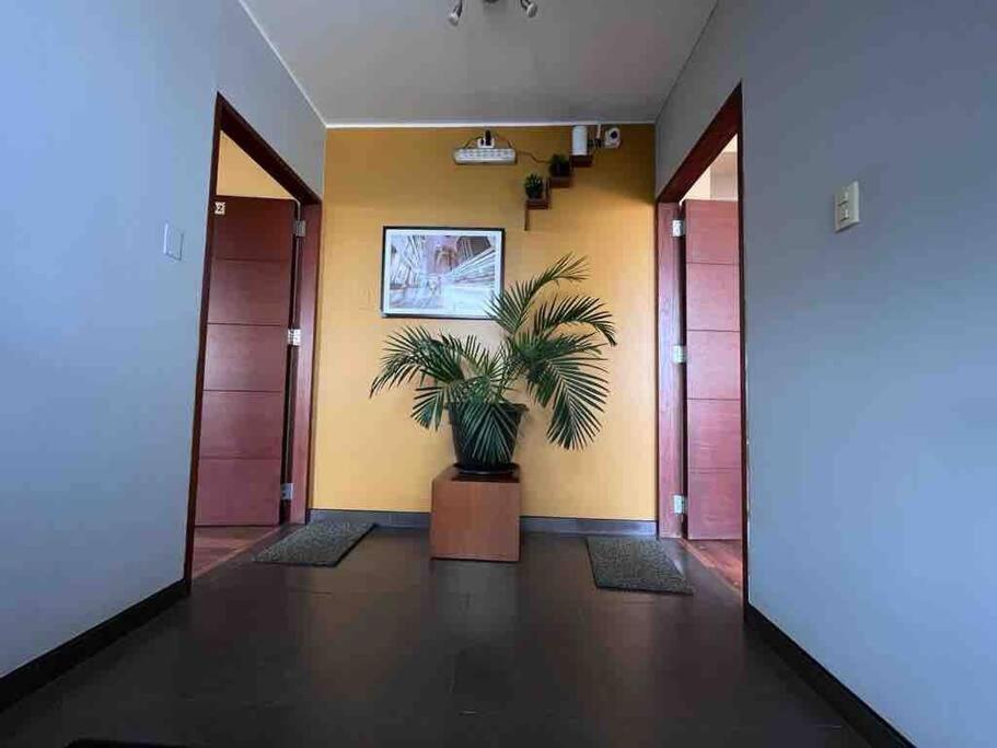 Nuevo y acogedor apartamento 201 view 3