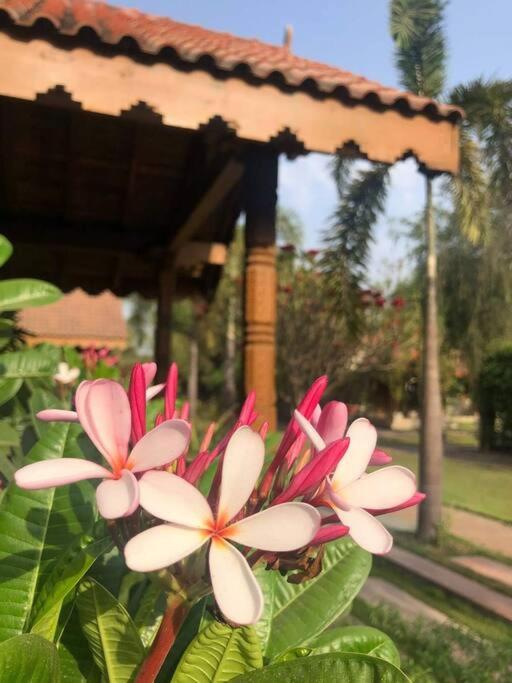 FarmStay FamilyVilla Vadodara