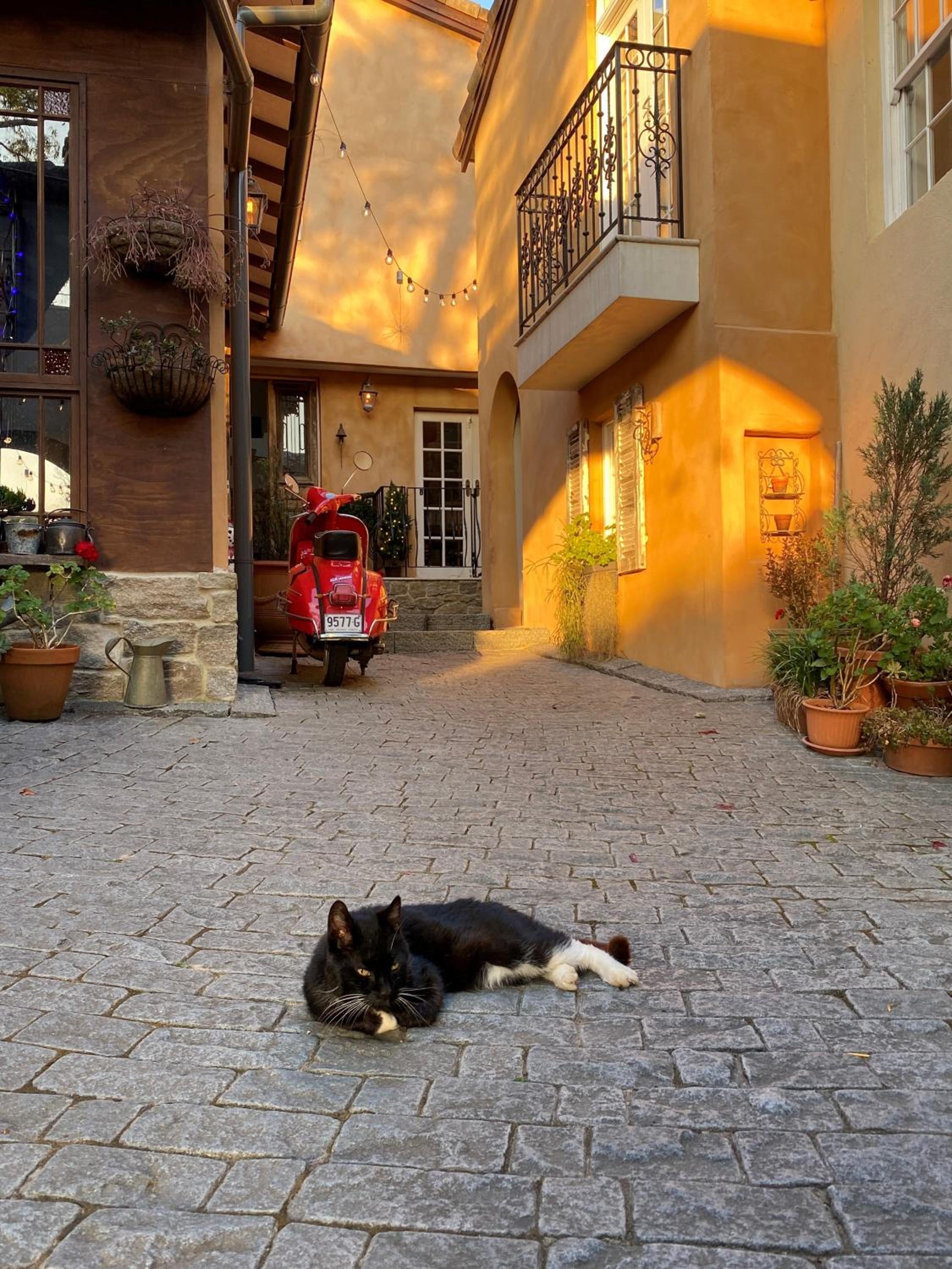Guestlands Italia B&B