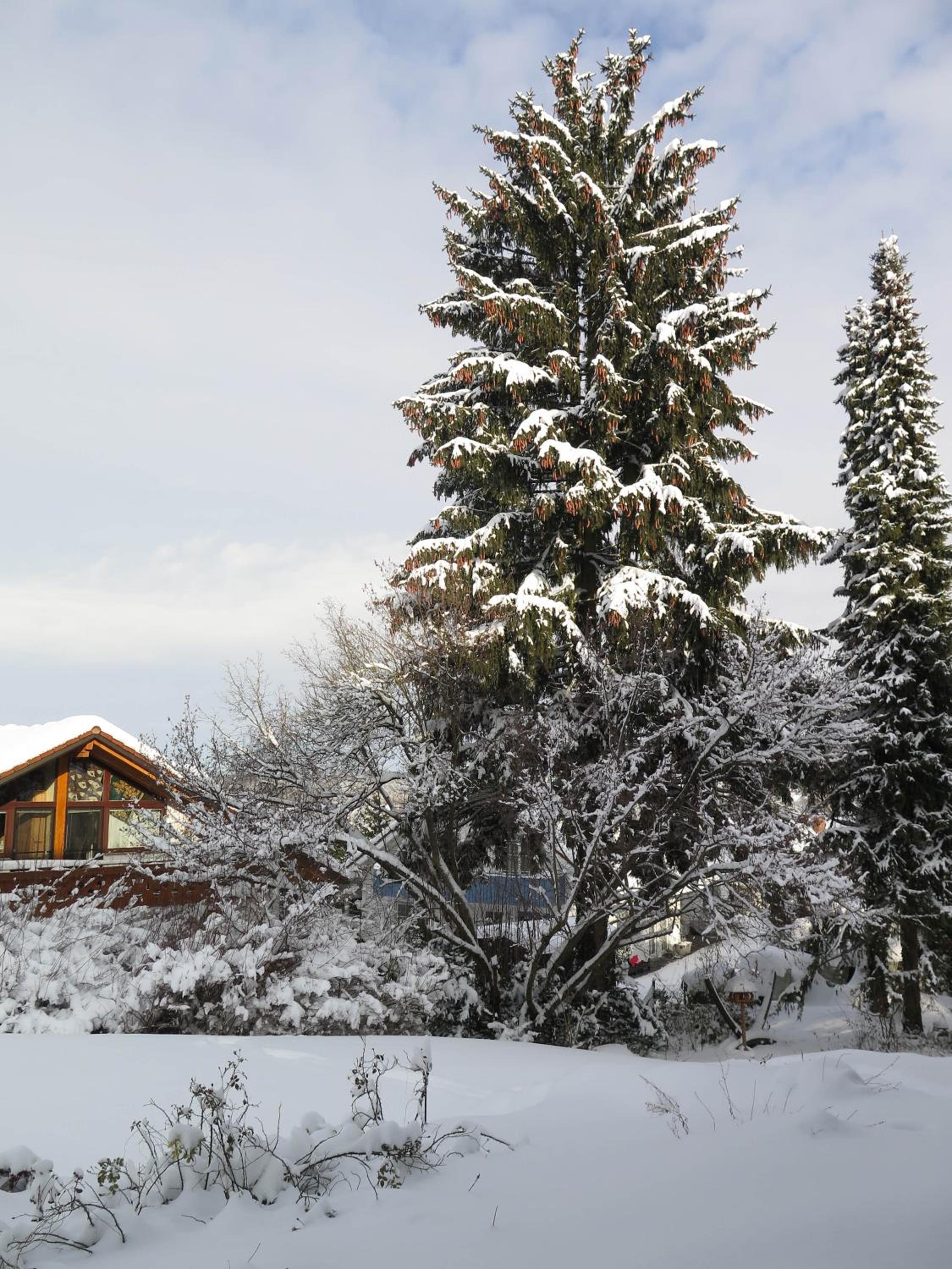 Seefelder Berge und Seen Appartements