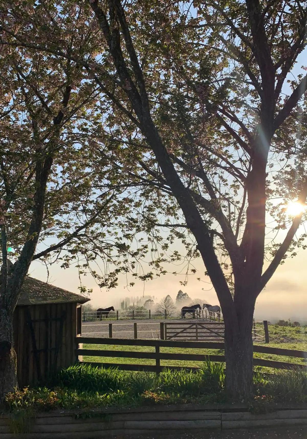 Equestrian Farm Stay