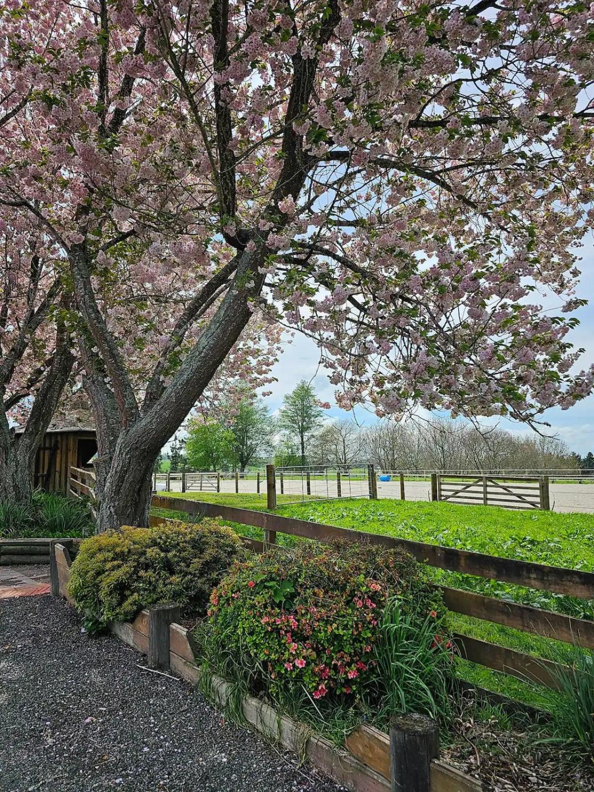 Equestrian Farm Stay