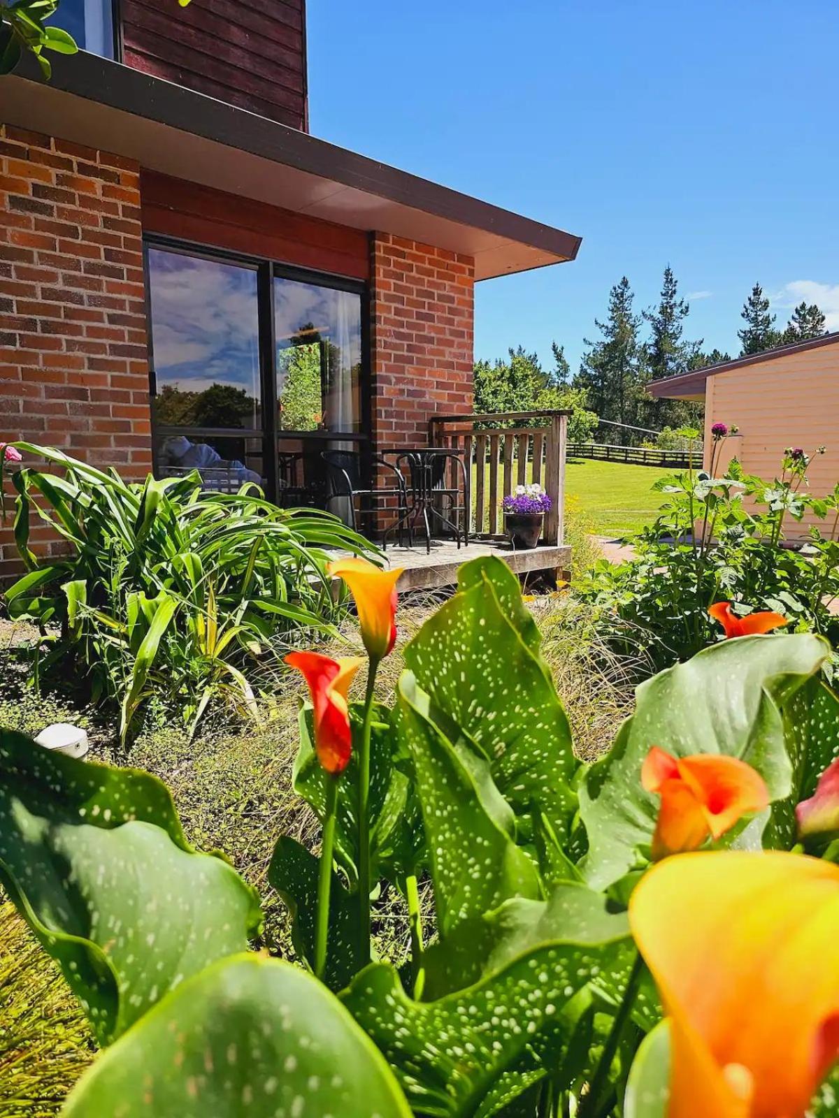 Equestrian Farm Stay