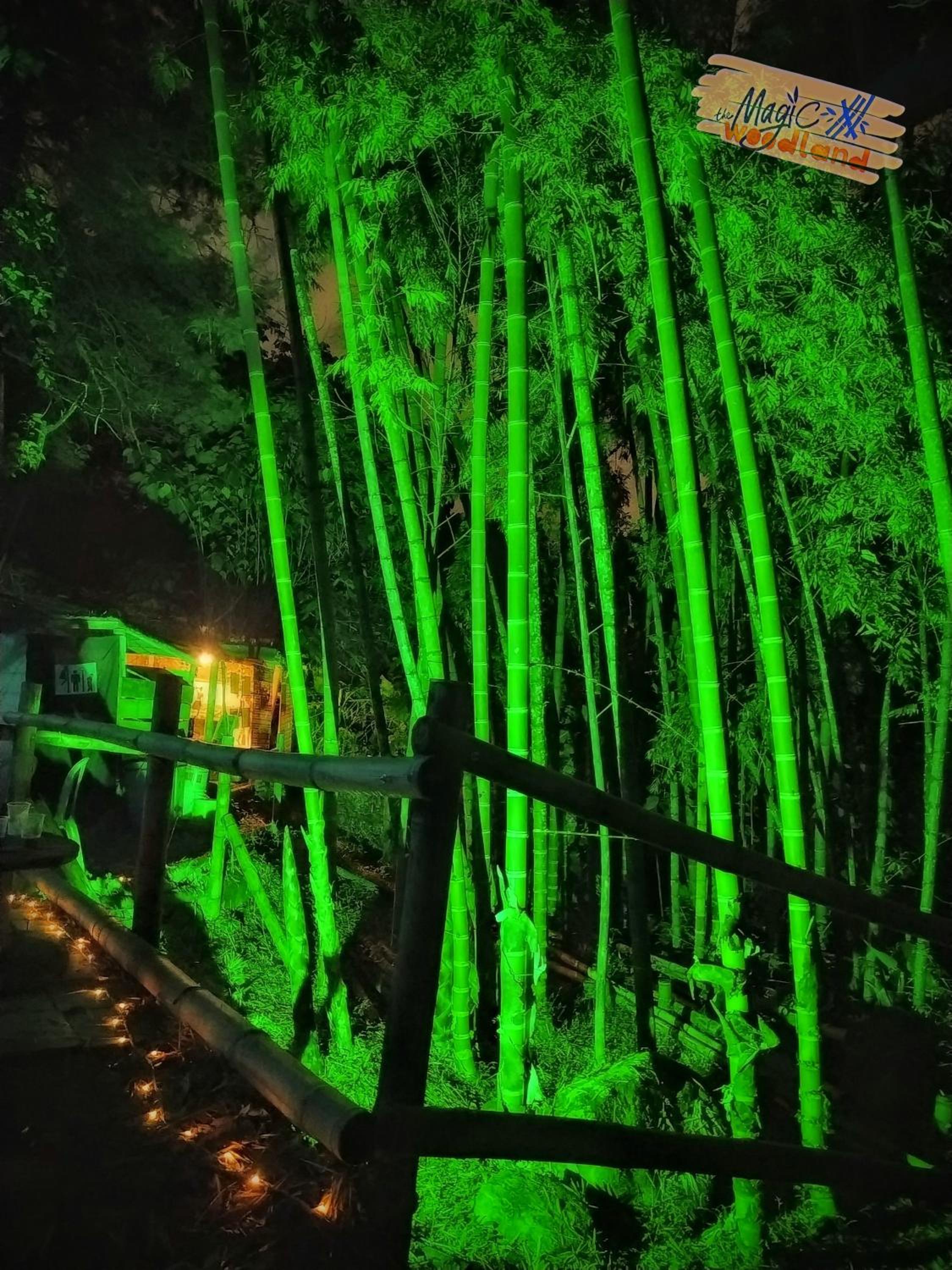 Rasta Room In The Magic Woodland - Envigado Medellin