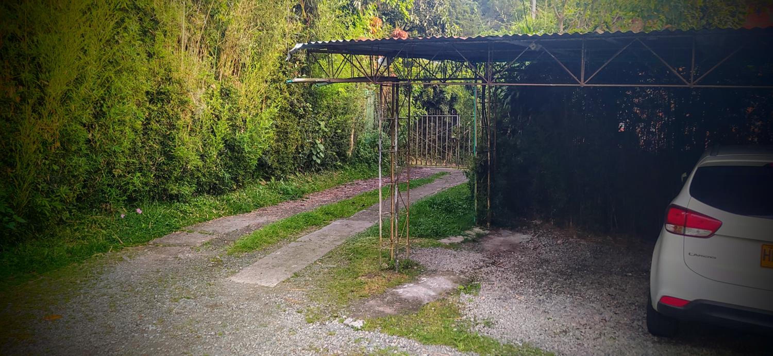 Rasta Room In The Magic Woodland - Envigado Medellin