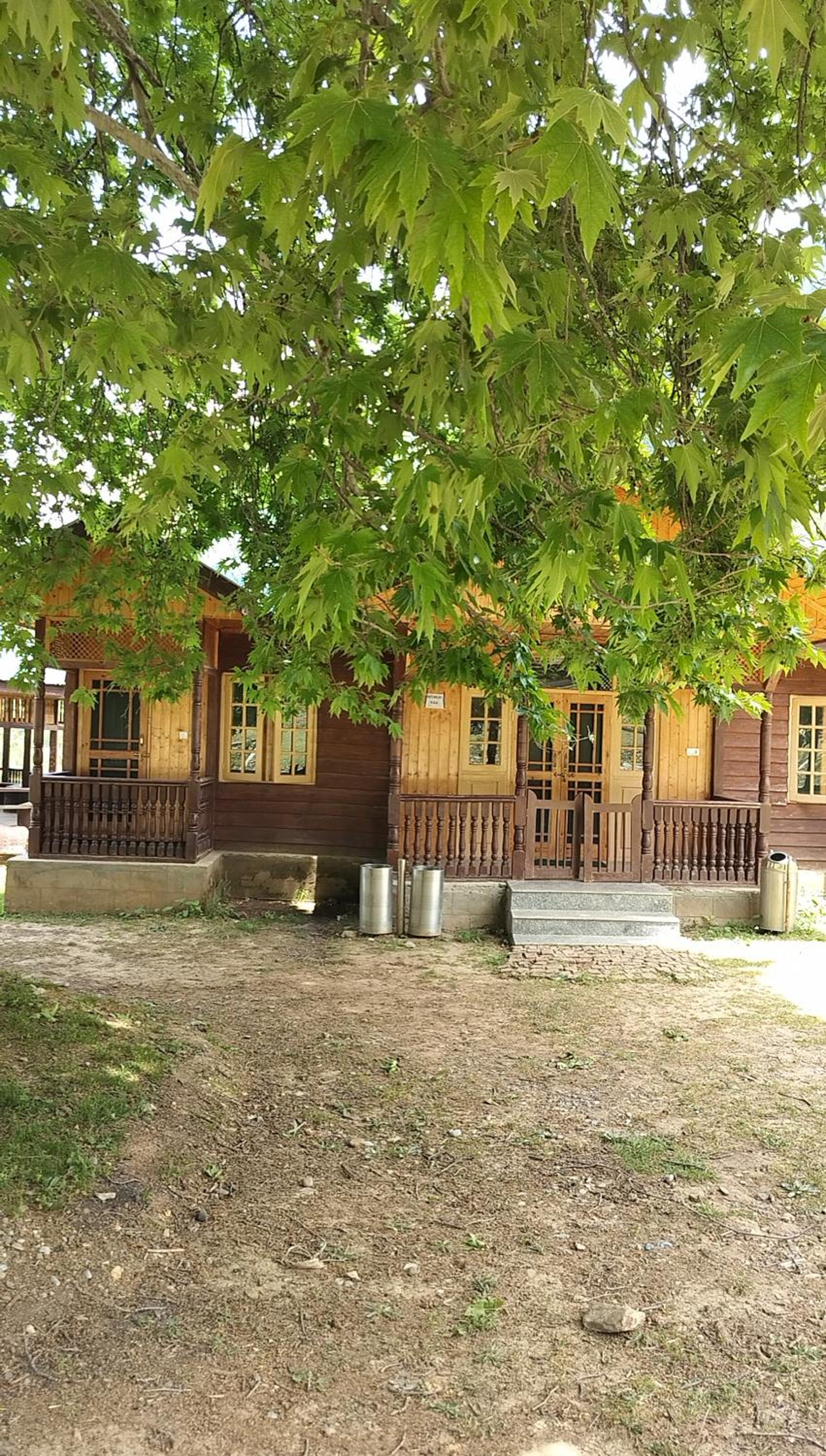 Photo 8