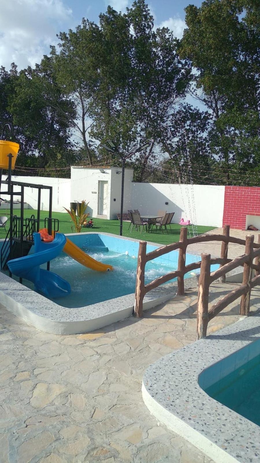 Photo 45