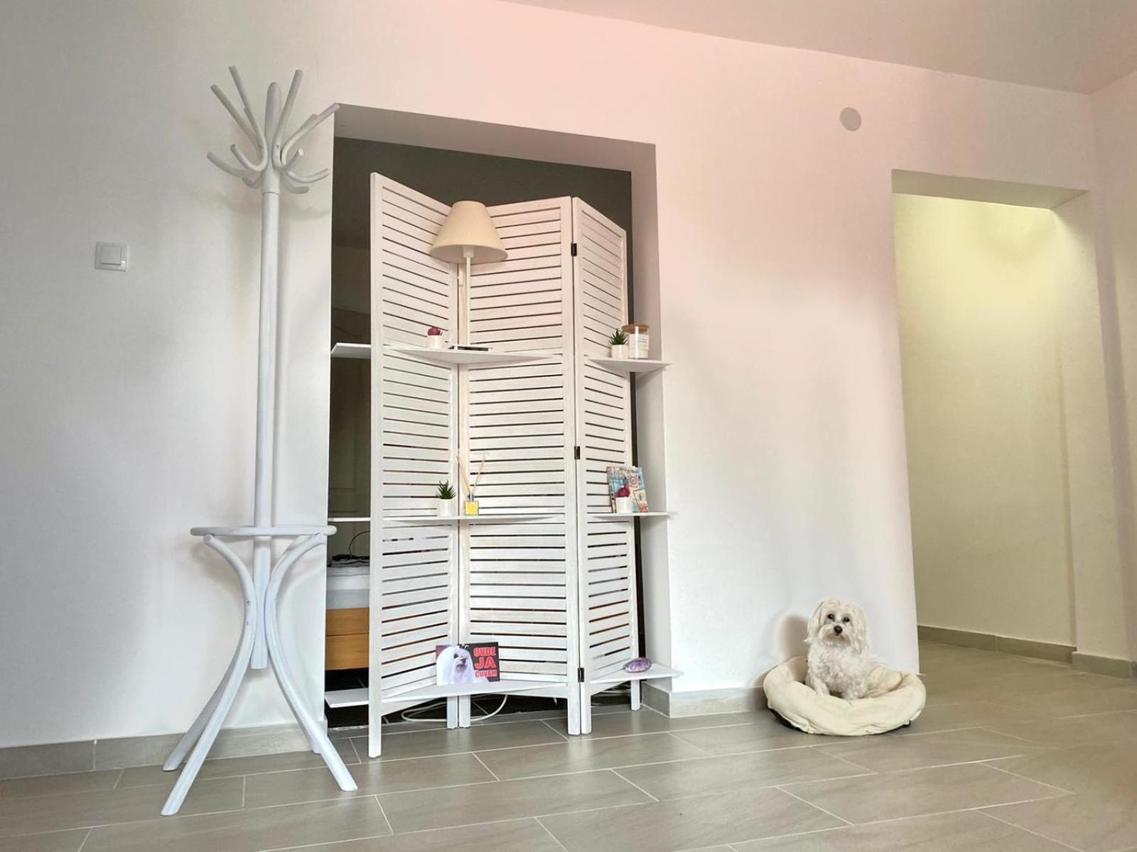 Apartman Ax2 view 2