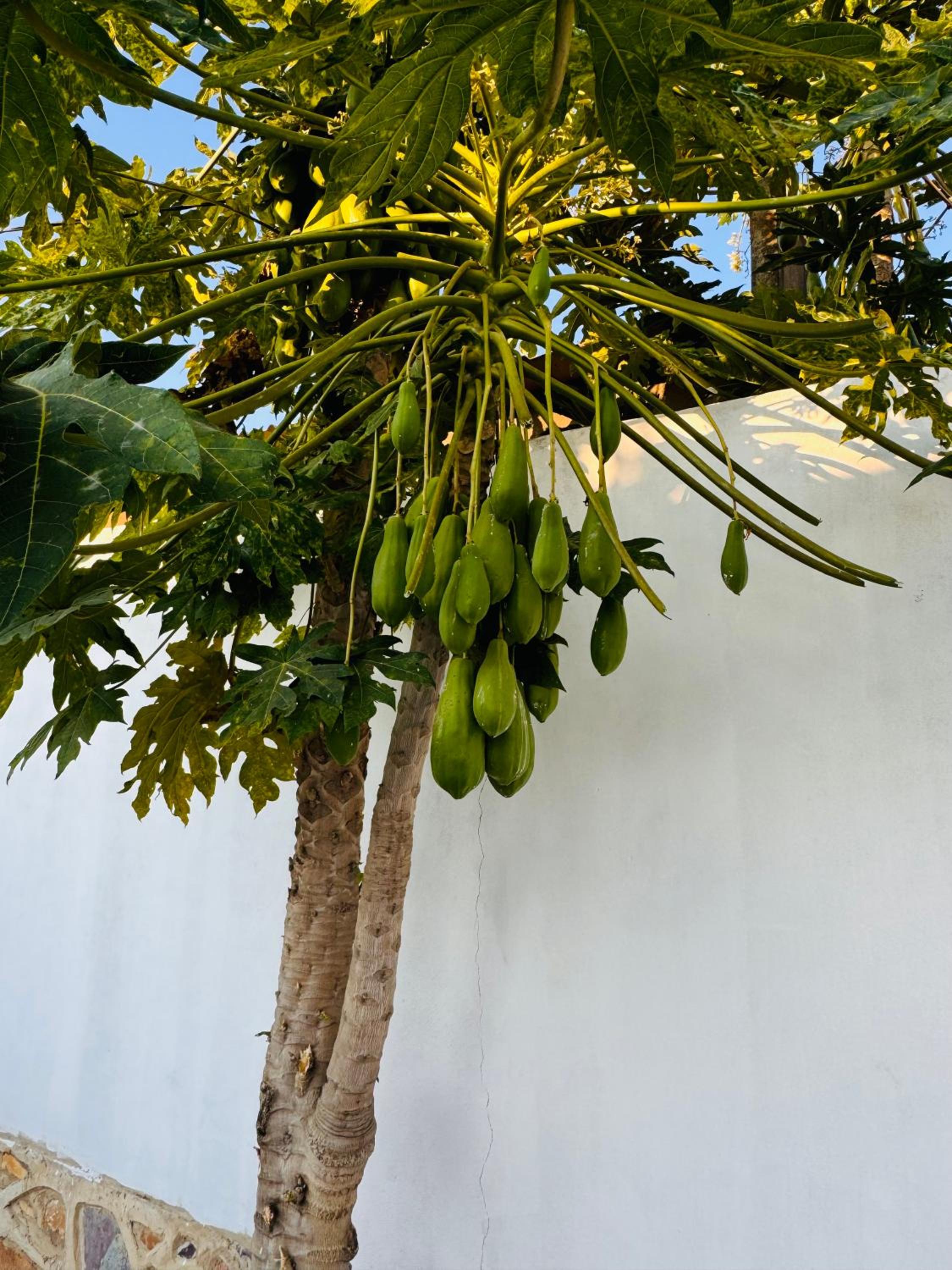 Hospedaria LC Sanjuquila