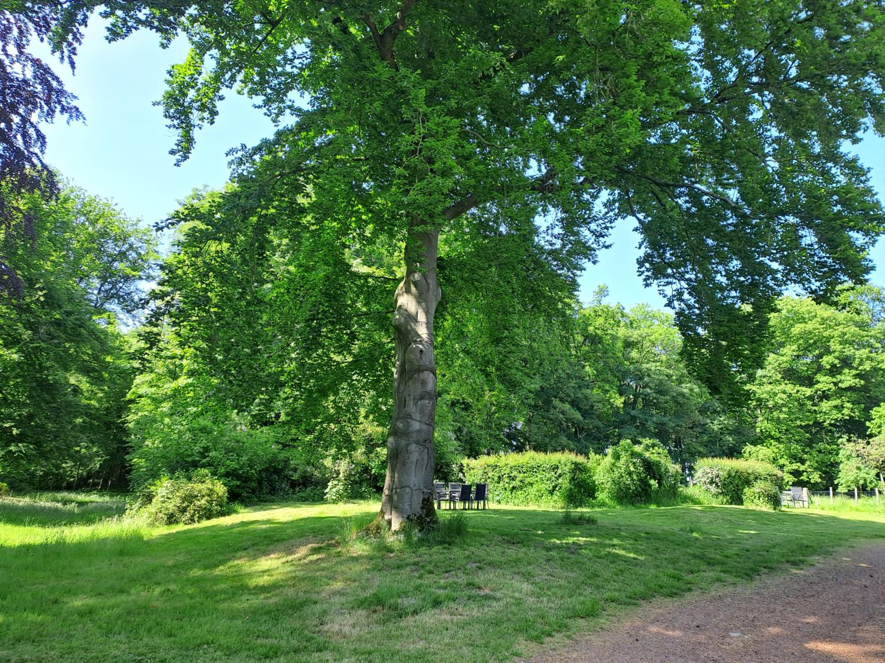 Gîte du Châtelet - sauna et piscine - Villers la Ville