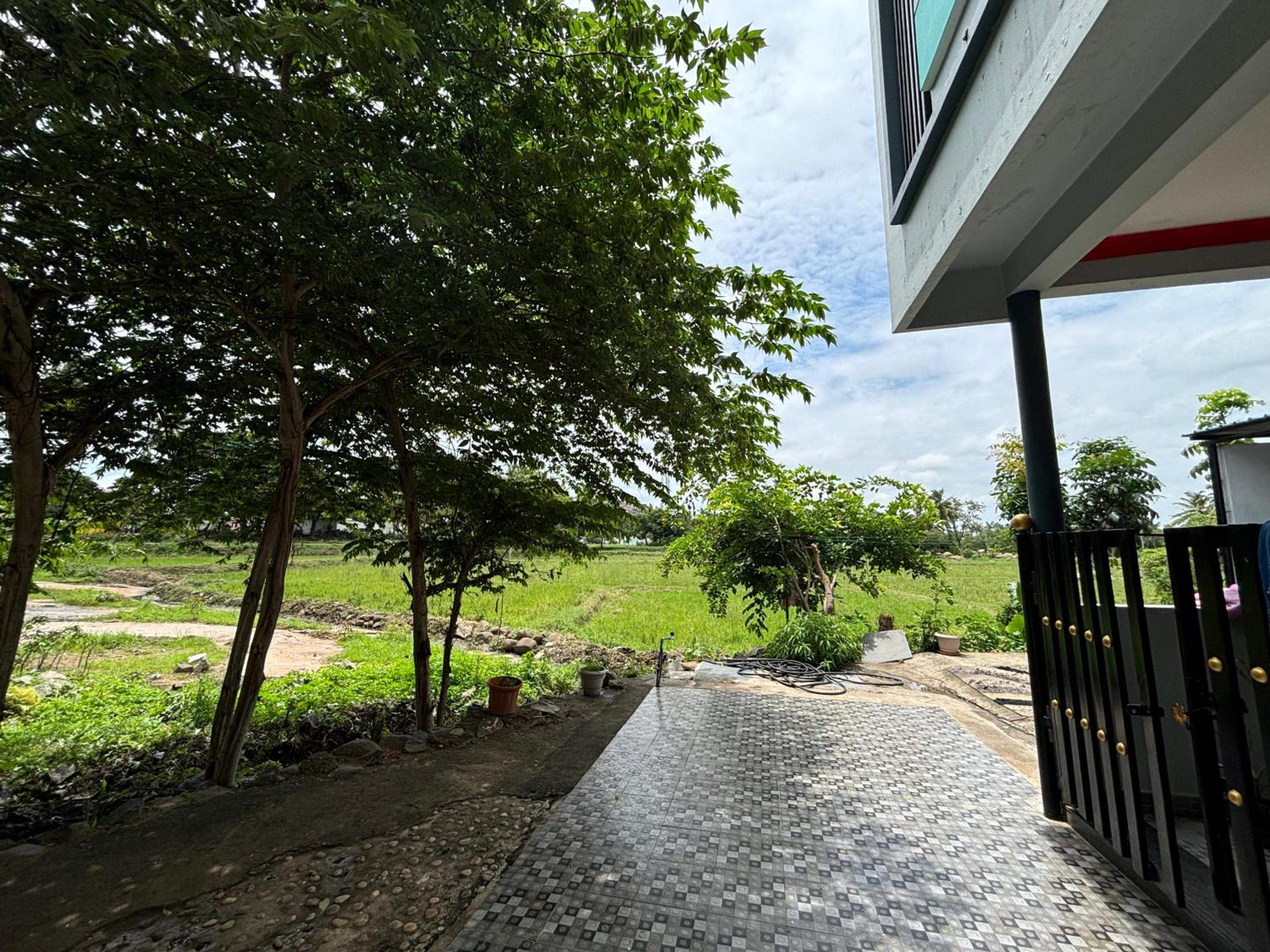 Cocogreen Hampi