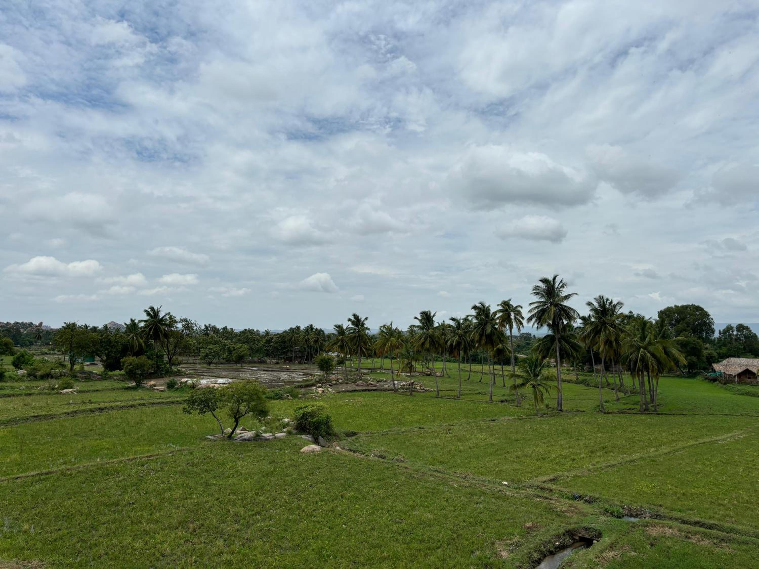 Cocogreen Hampi