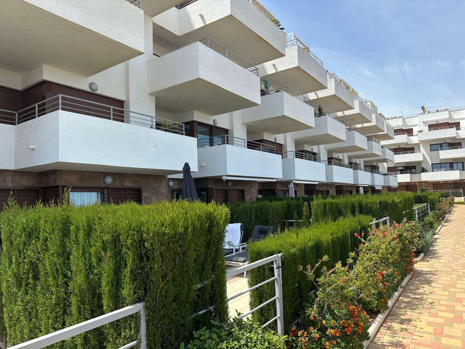 Apartamento Kristal