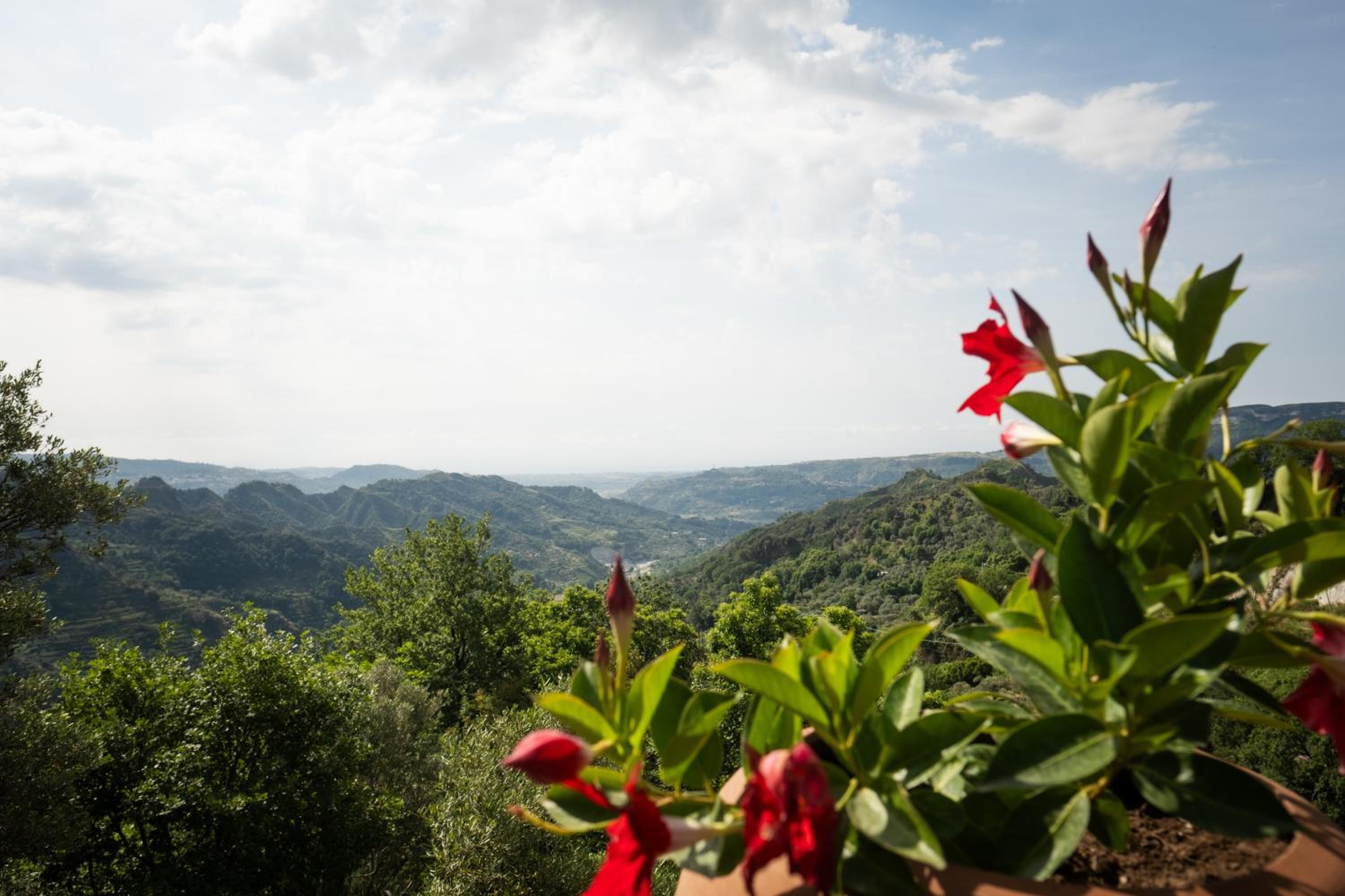 Locanda degli Ulivi