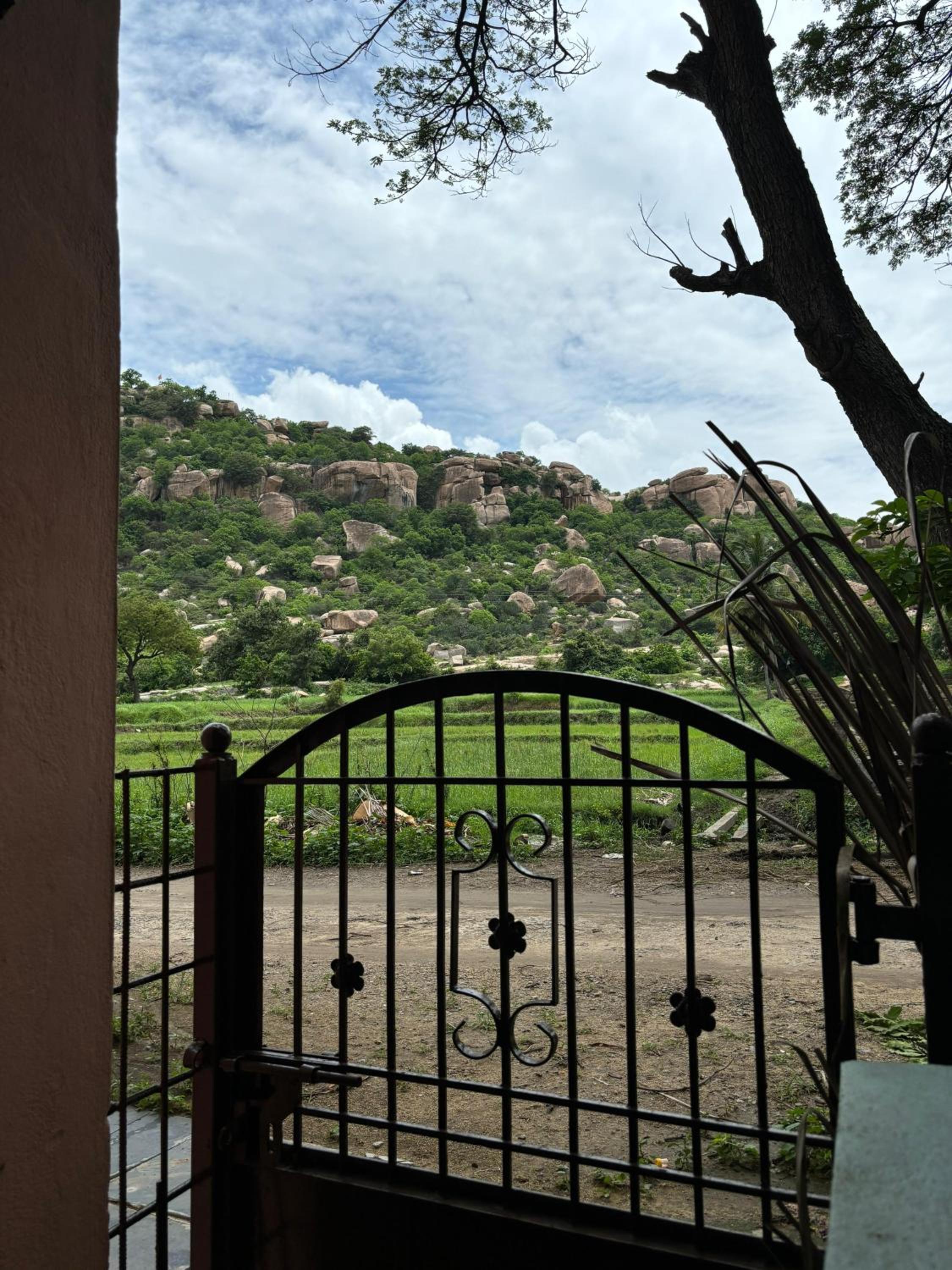 Cocogreen Hampi
