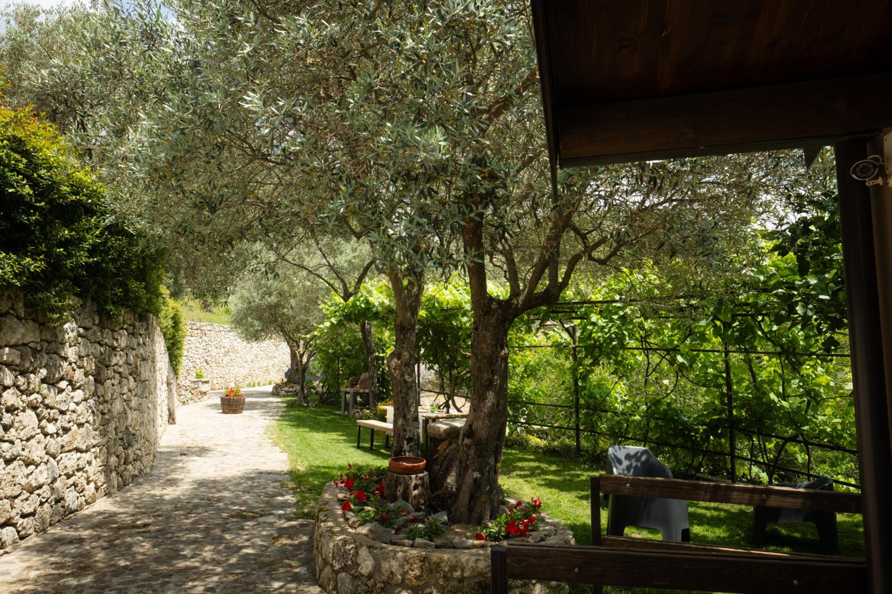 Locanda degli Ulivi