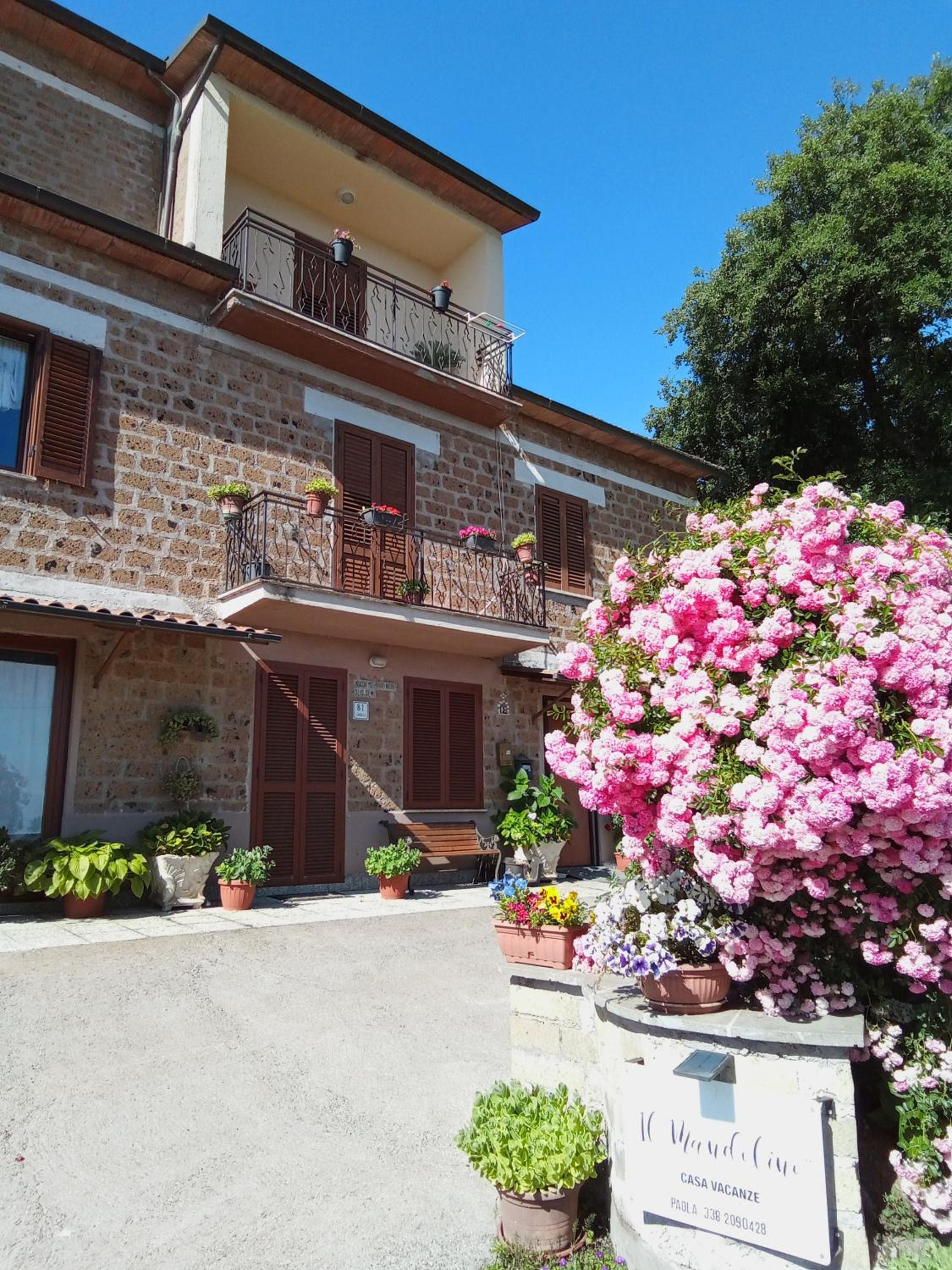 Casa vacanze il Mandolino tra Orvieto e Bolsena view 4