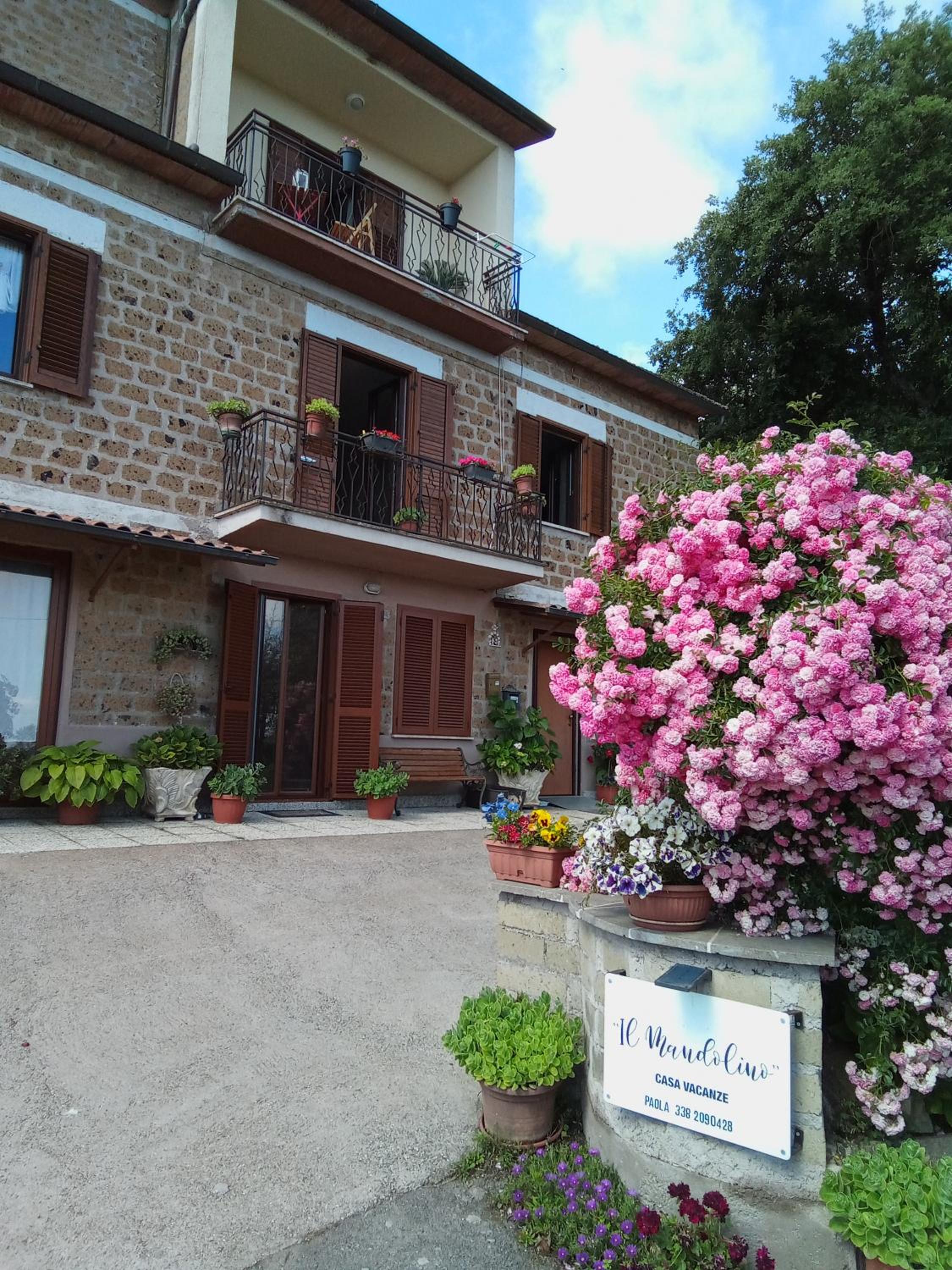 Casa vacanze il Mandolino tra Orvieto e Bolsena view 5