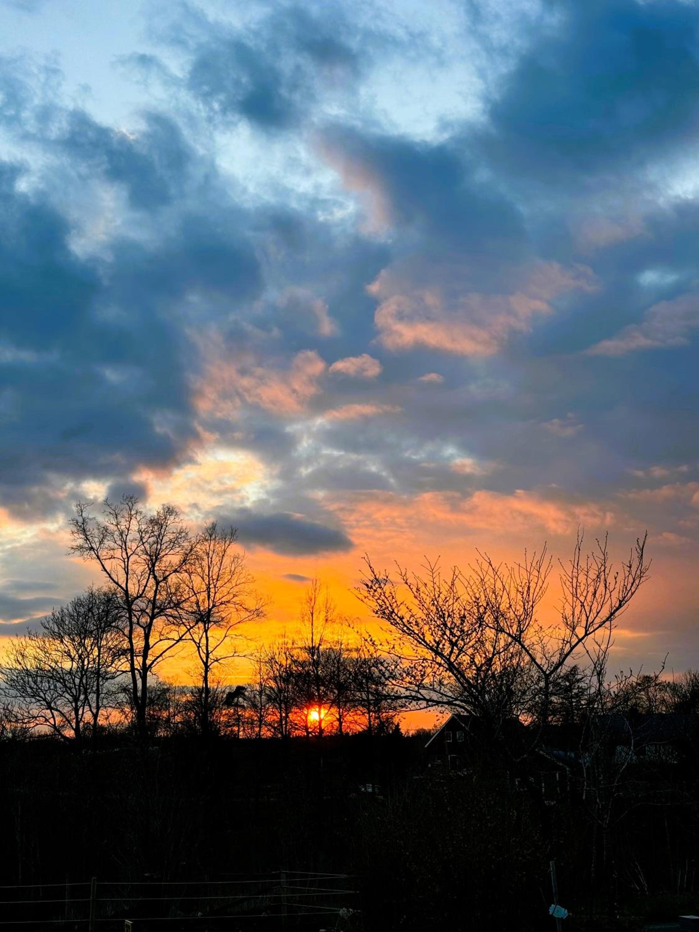 Photo 30